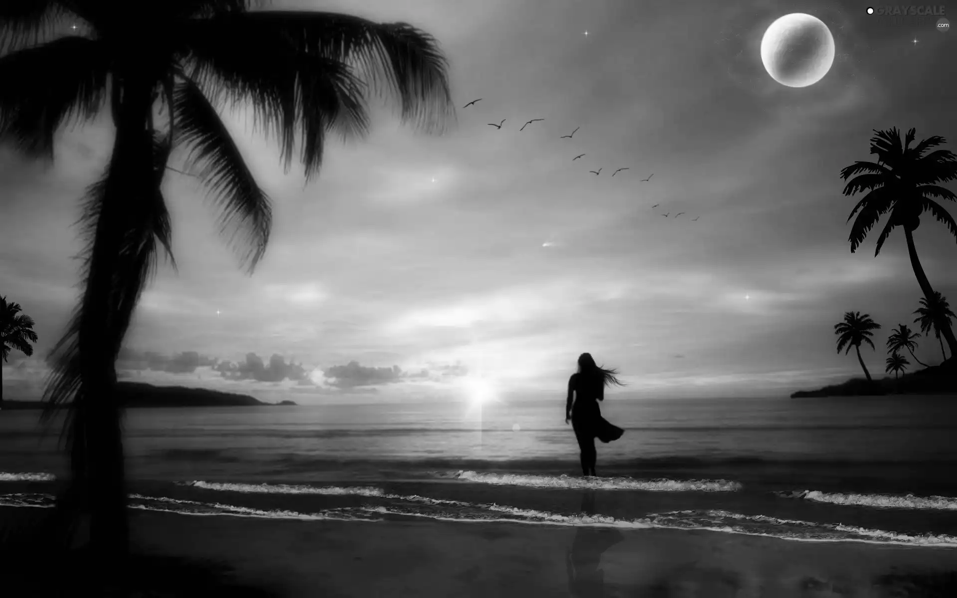 Palms, Women, sea