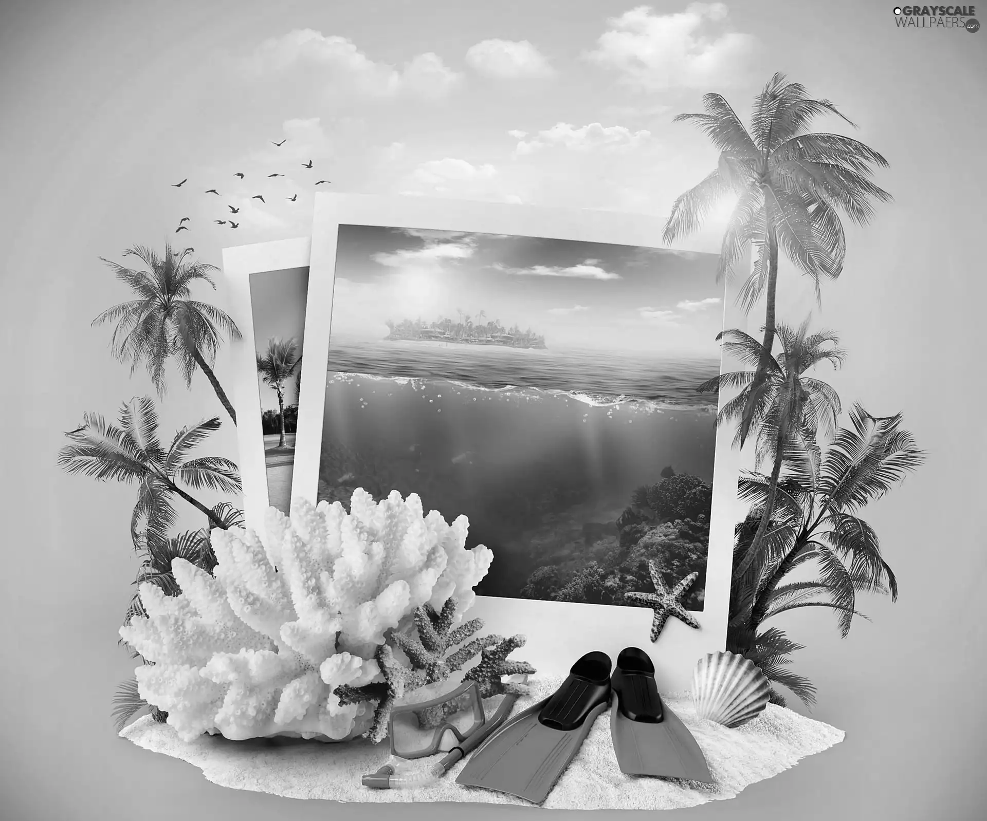 summer, Ocean, Palms, holiday