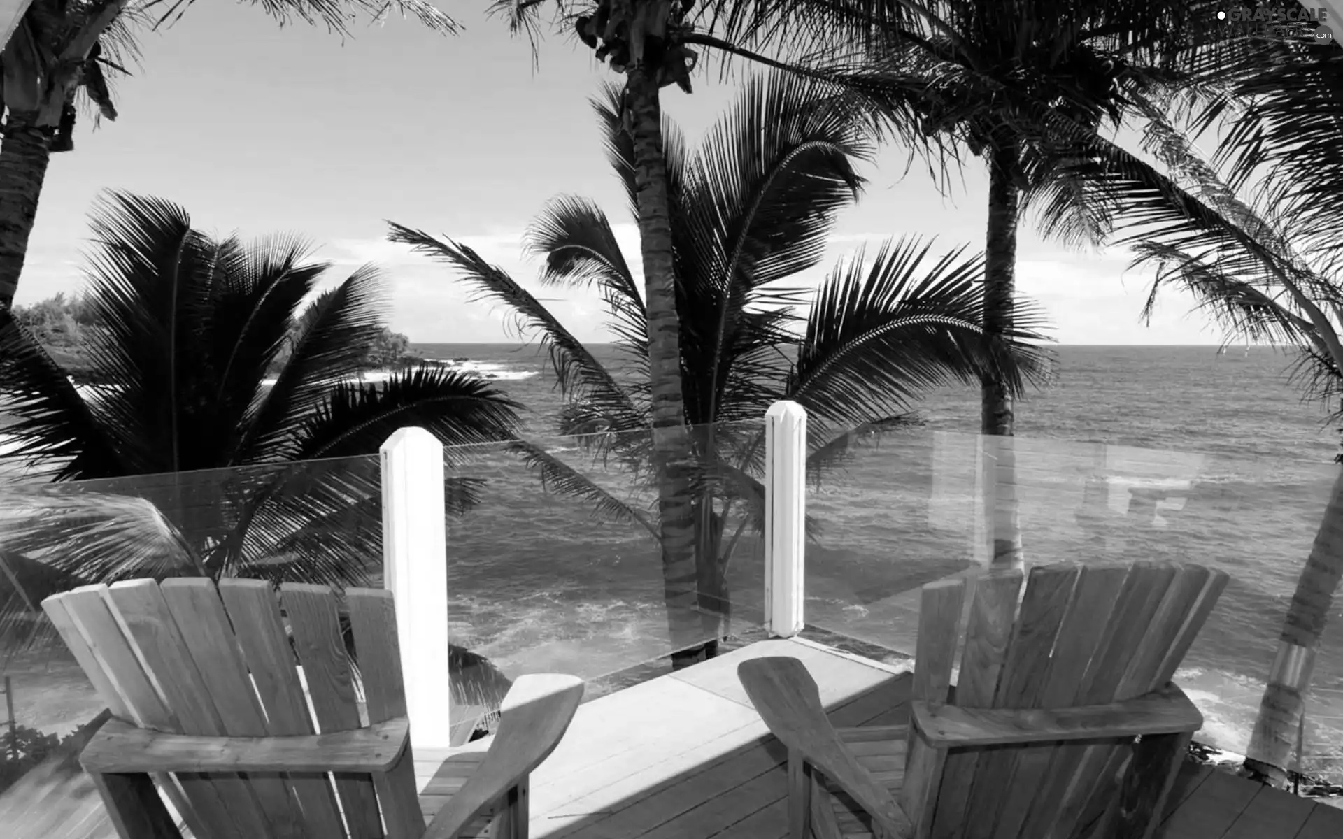 terrace, sea, Palms, Stool