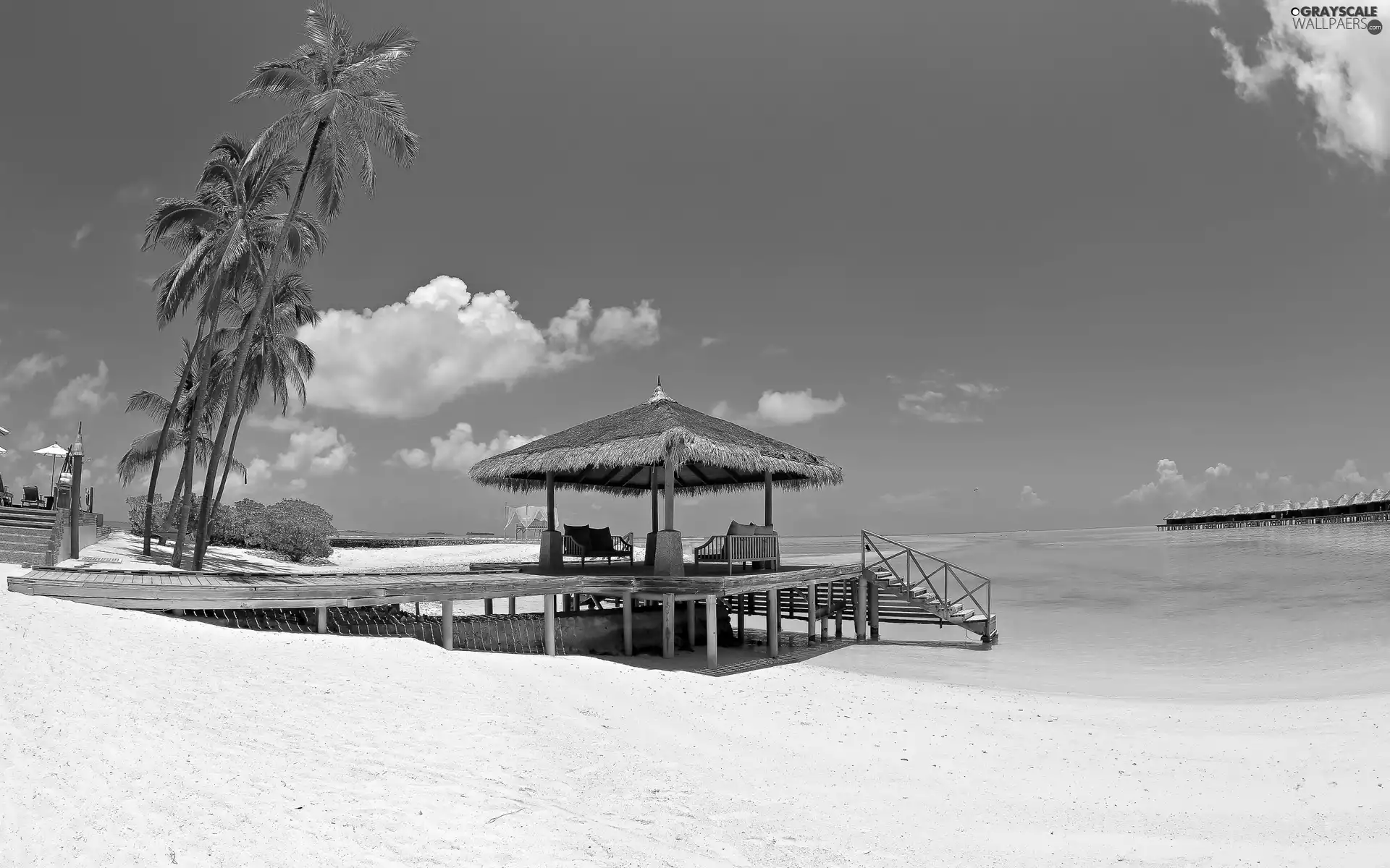 piles, house, sea, an, Beaches, Palms, Tropical