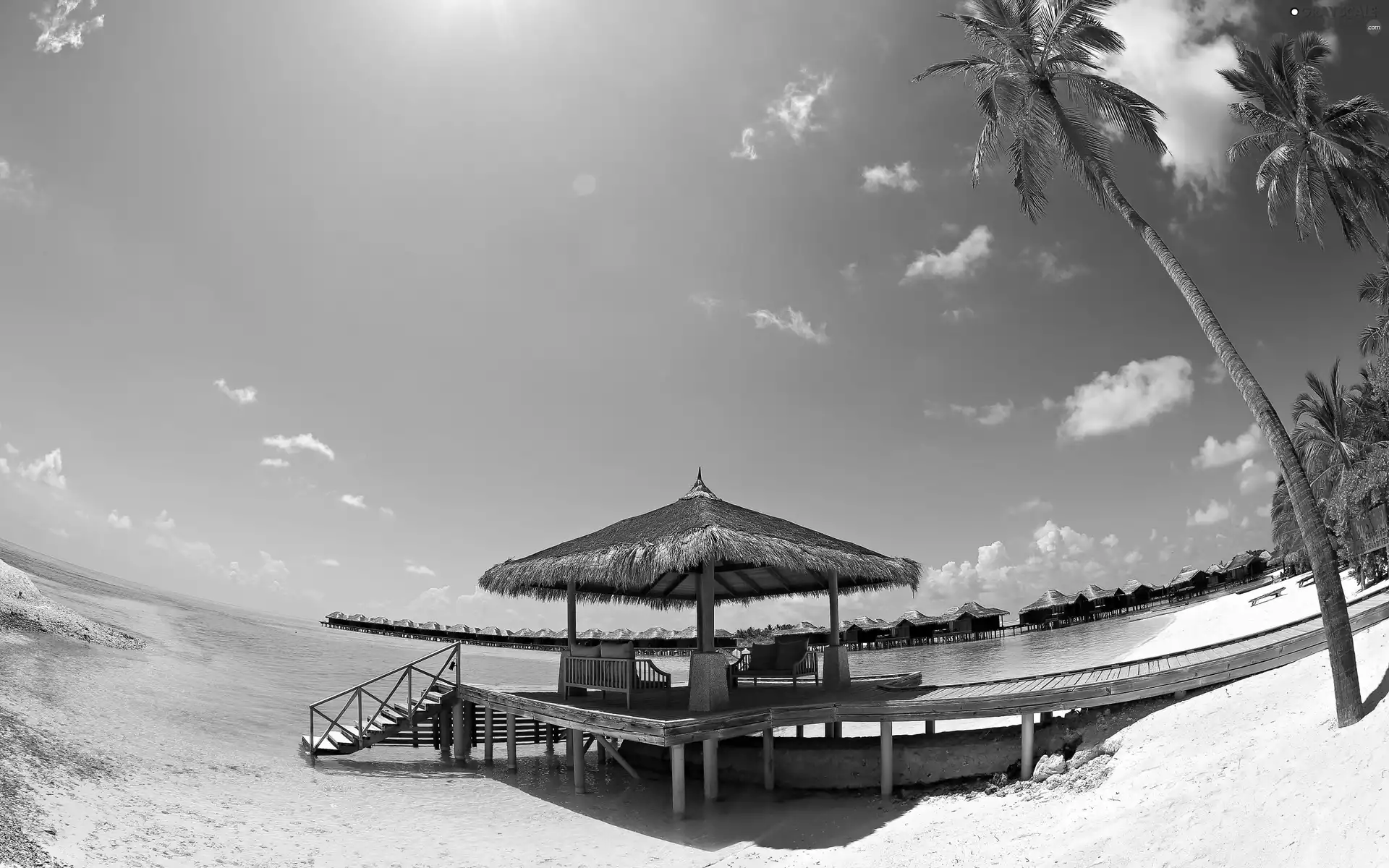 Beaches, an, sea, piles, Houses, Palms, Tropical
