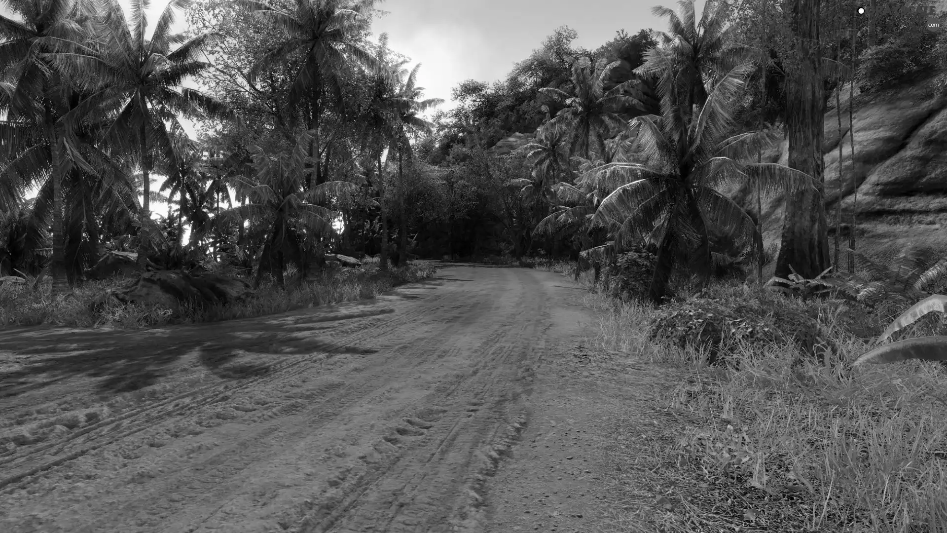 Palms, Sandy, Way