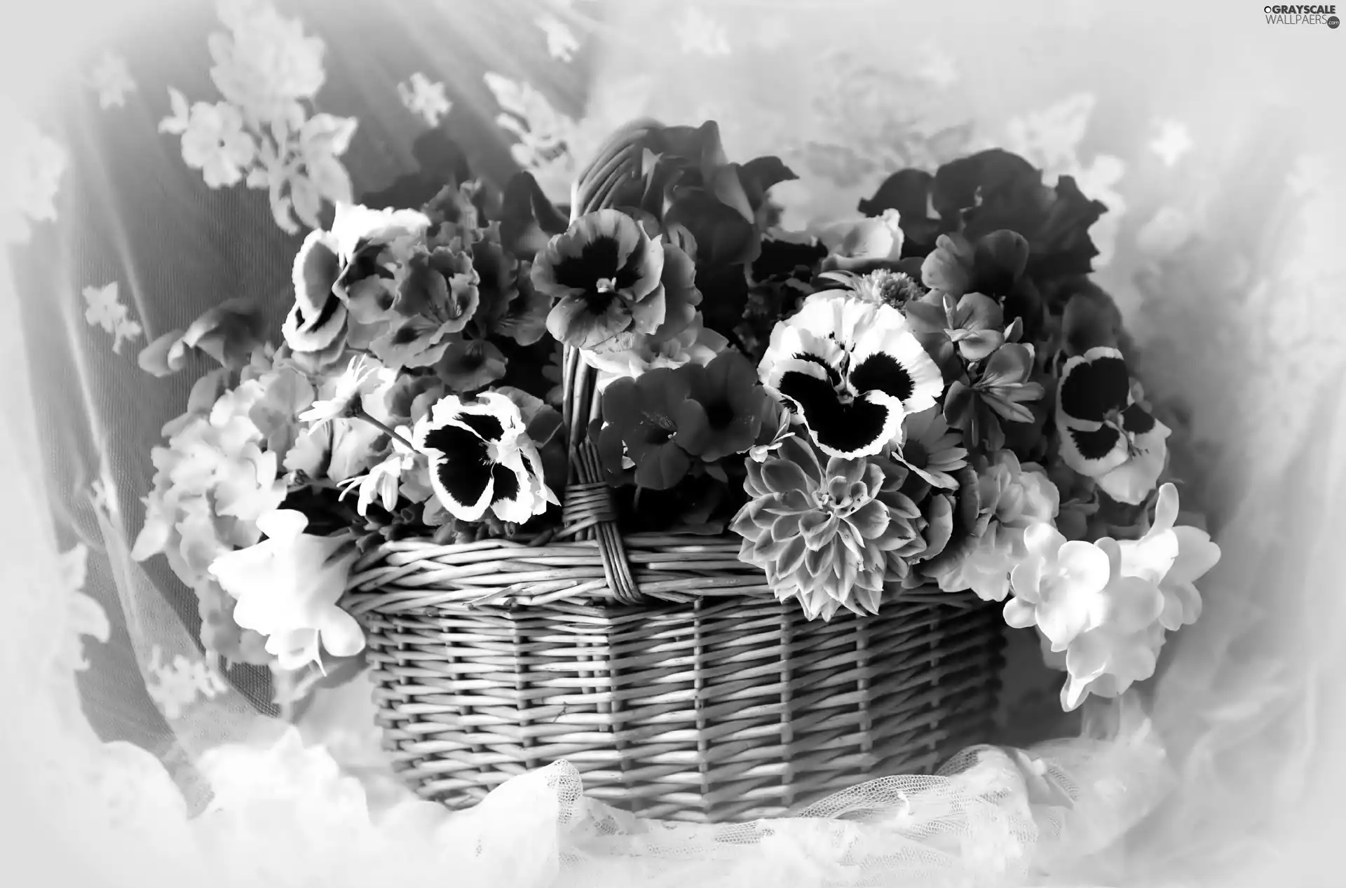pansies, dahlias, Colorful, flowers, bouquet