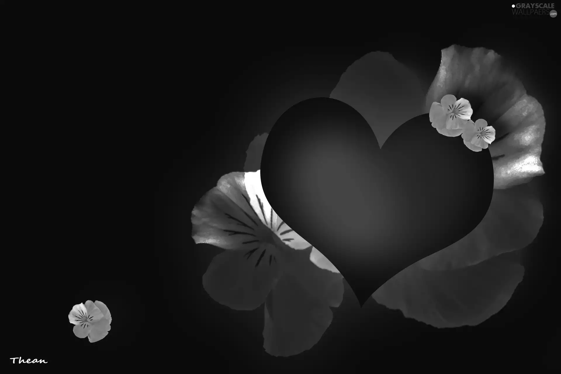 Red, White, pansies, Heart teddybear