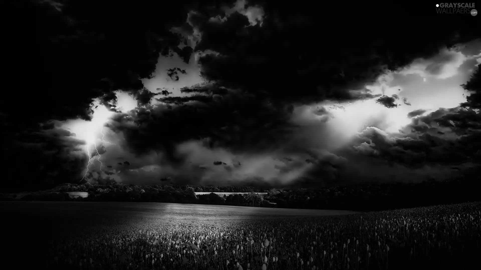 clouds, field, papavers, Storm