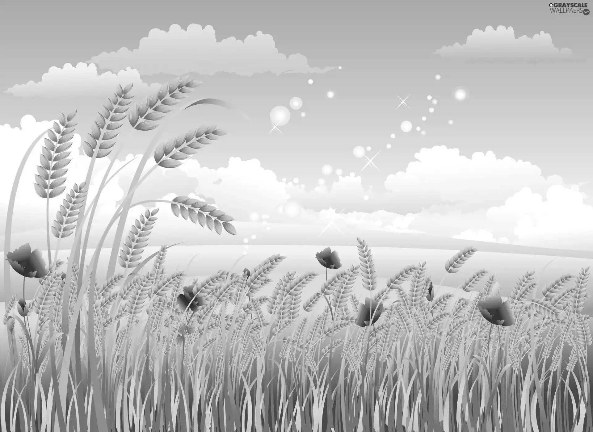 papavers, corn, wheat