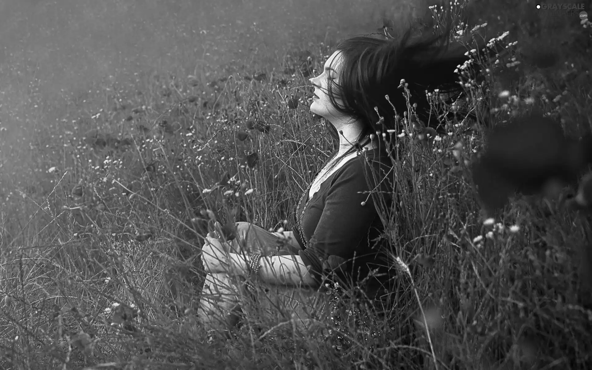 Women, papavers, Meadow, Flowers