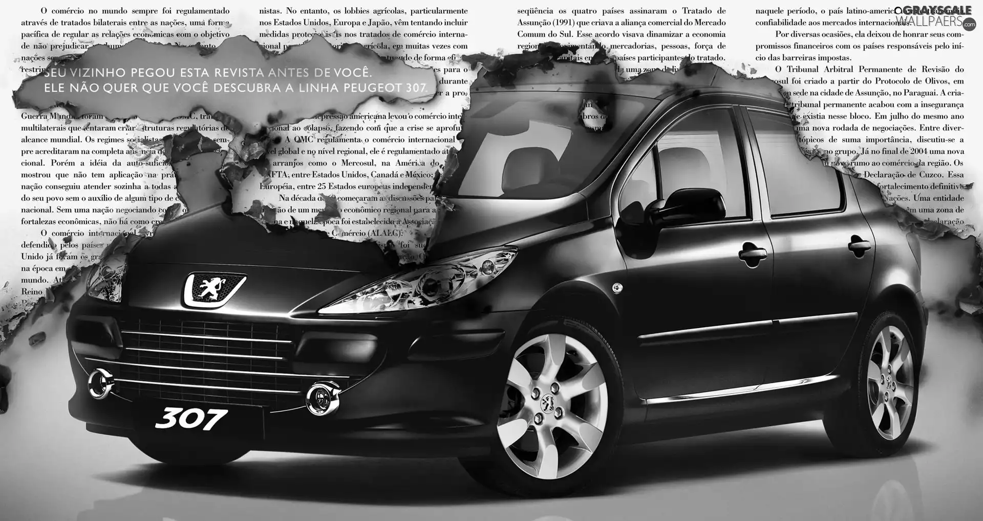 Peugeot, burnt, Paper, 307