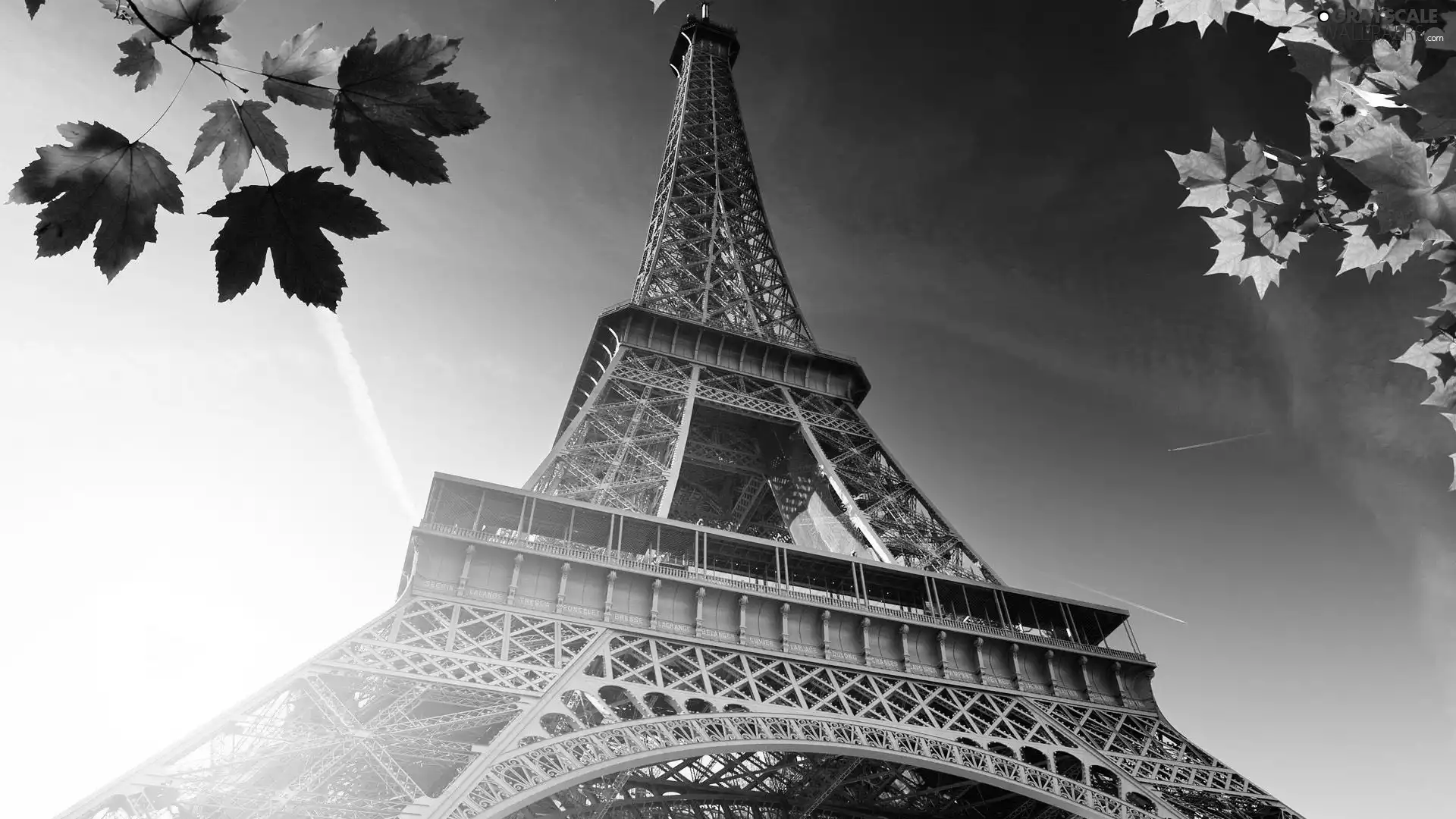 France, Eiffla Tower, Paris