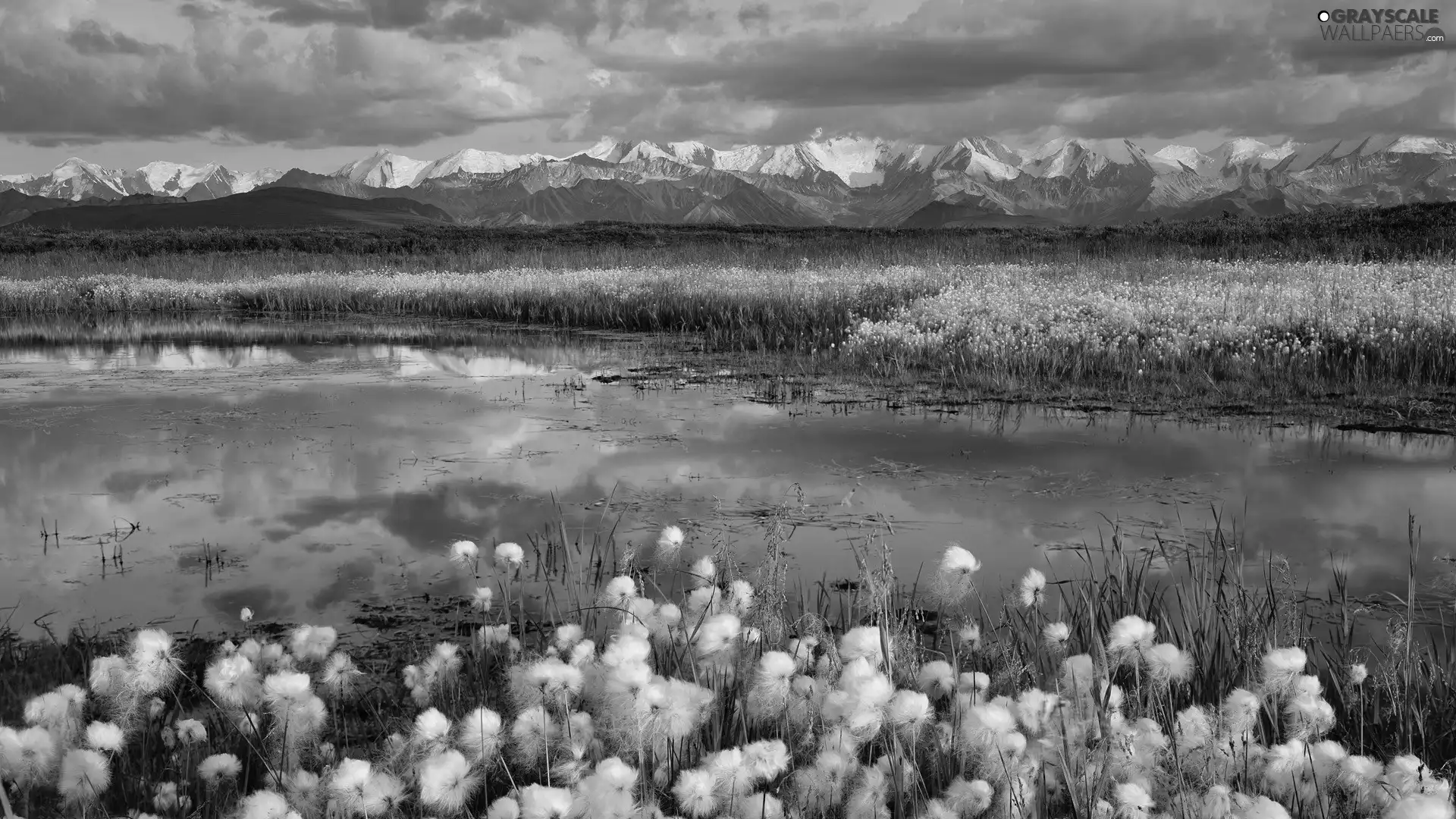 Alaska, Park