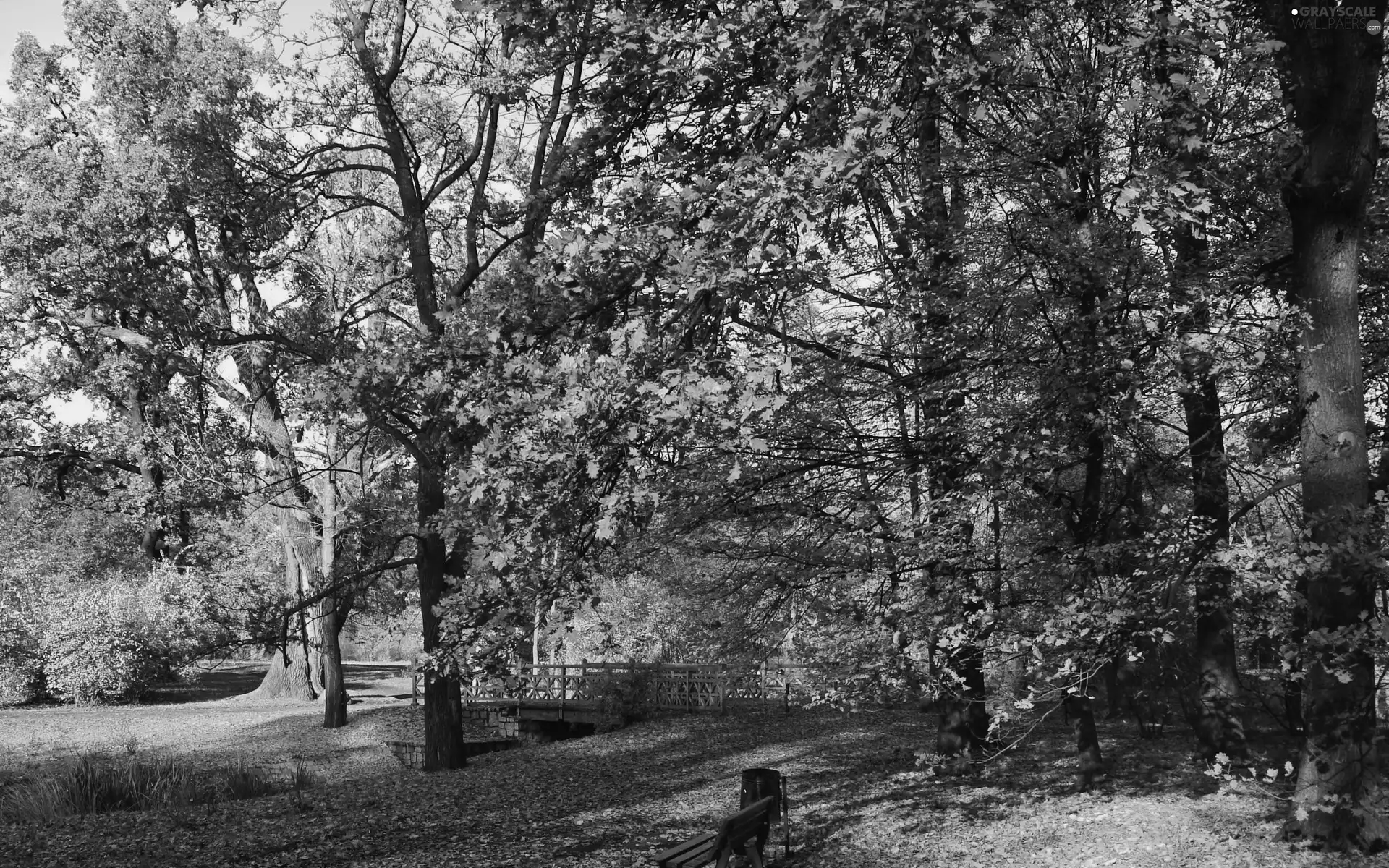 Alleys, brook, Park, autumn, Bench, bridges