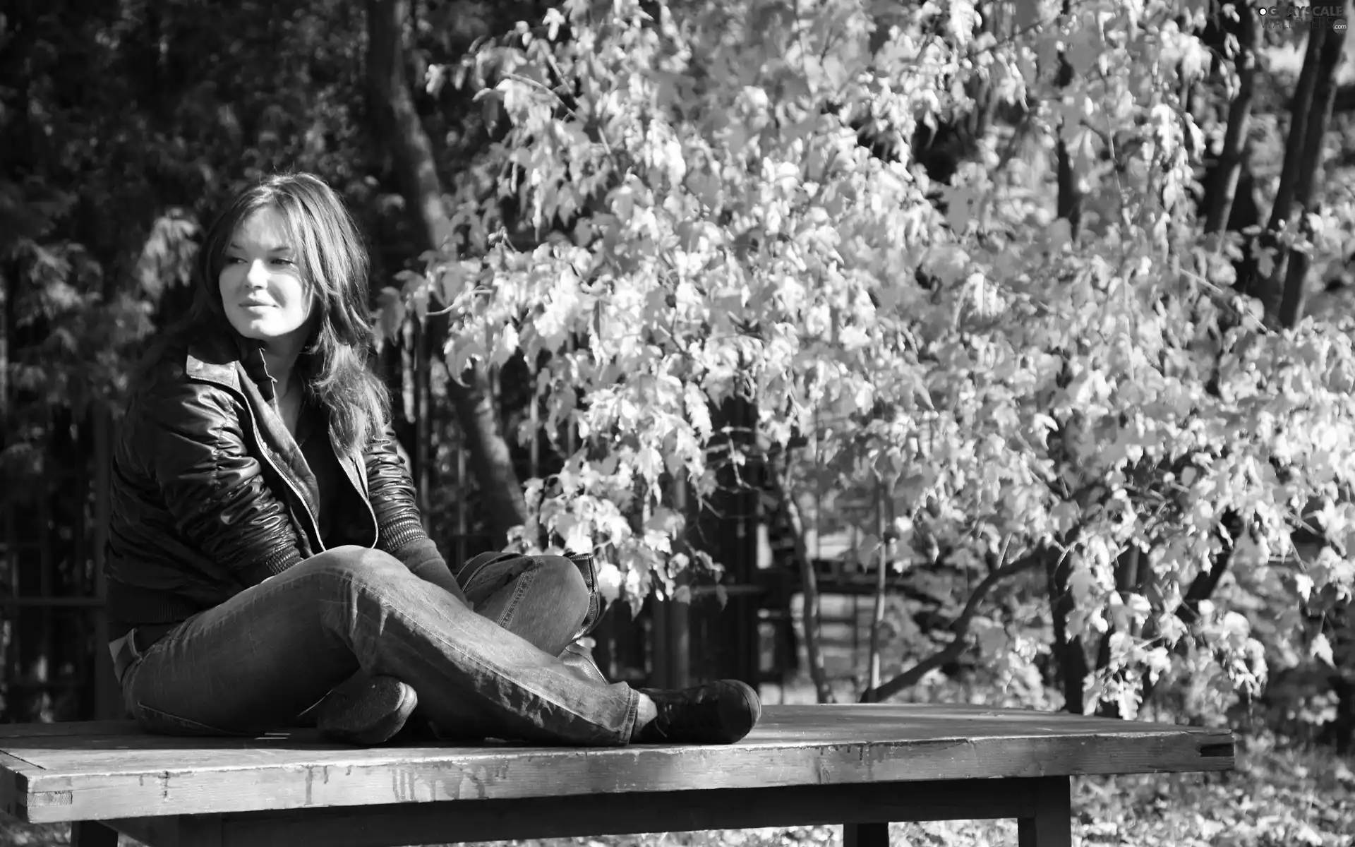 Park, Women, Bench