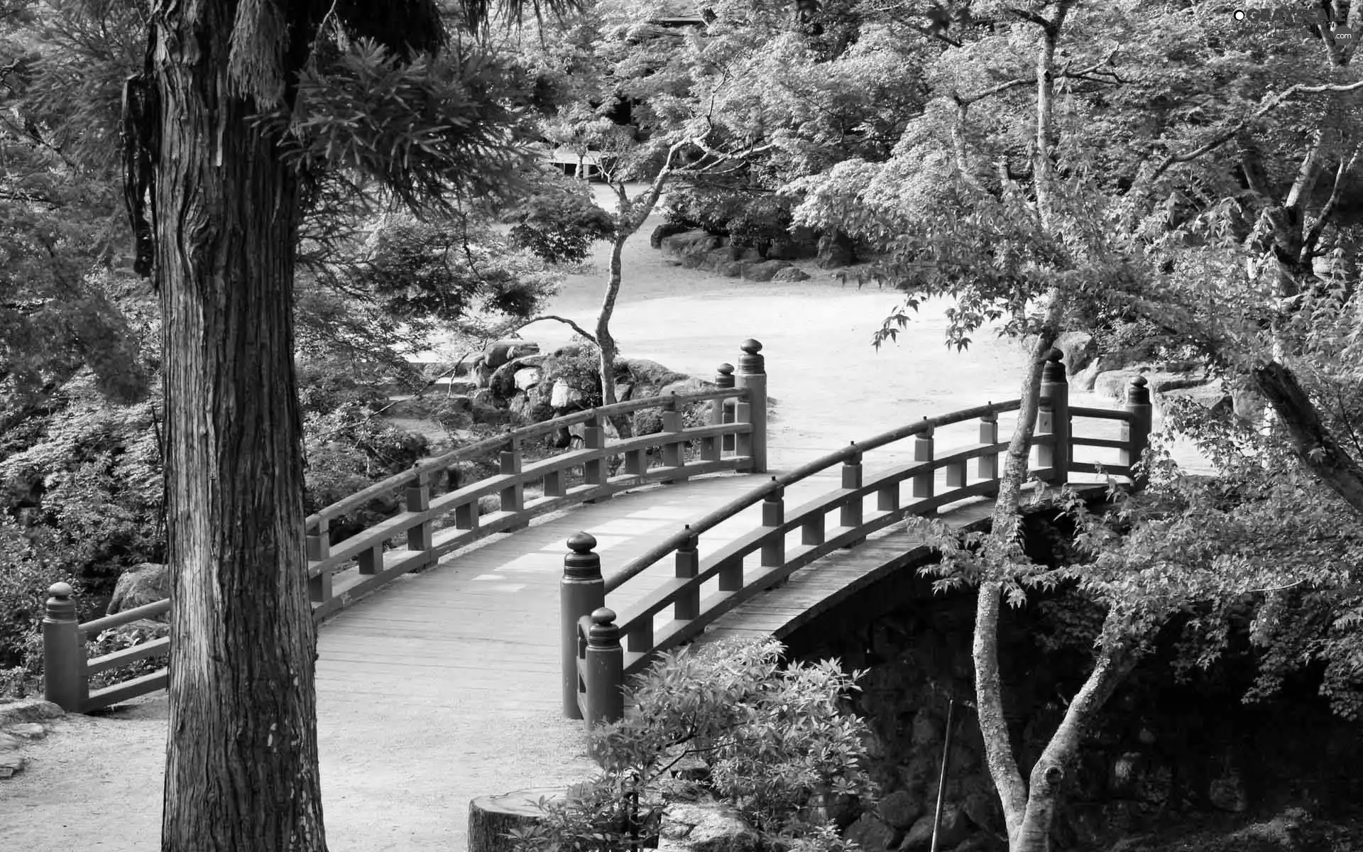 bridges, Park