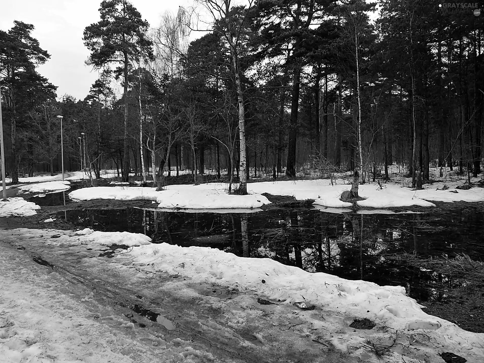 Pond - car, winter, Park