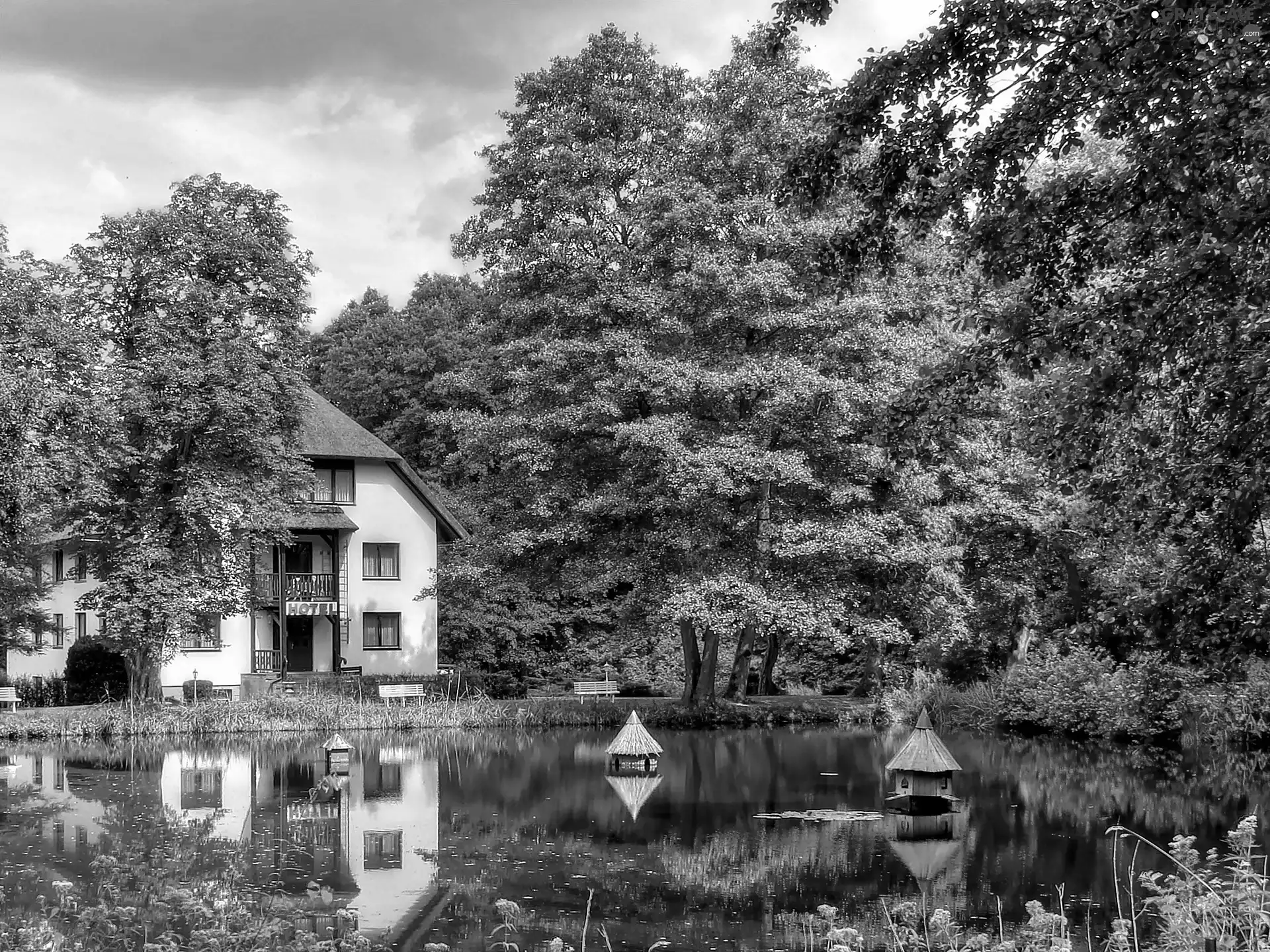 Pond - car, Hotel hall, Park