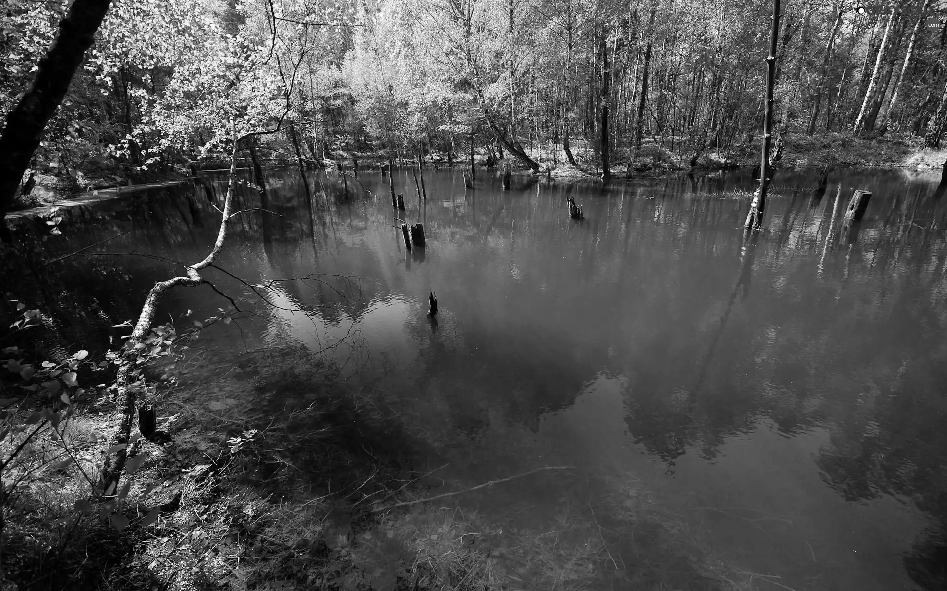 lake, Arch Muzakowa, Park, anthropogenic