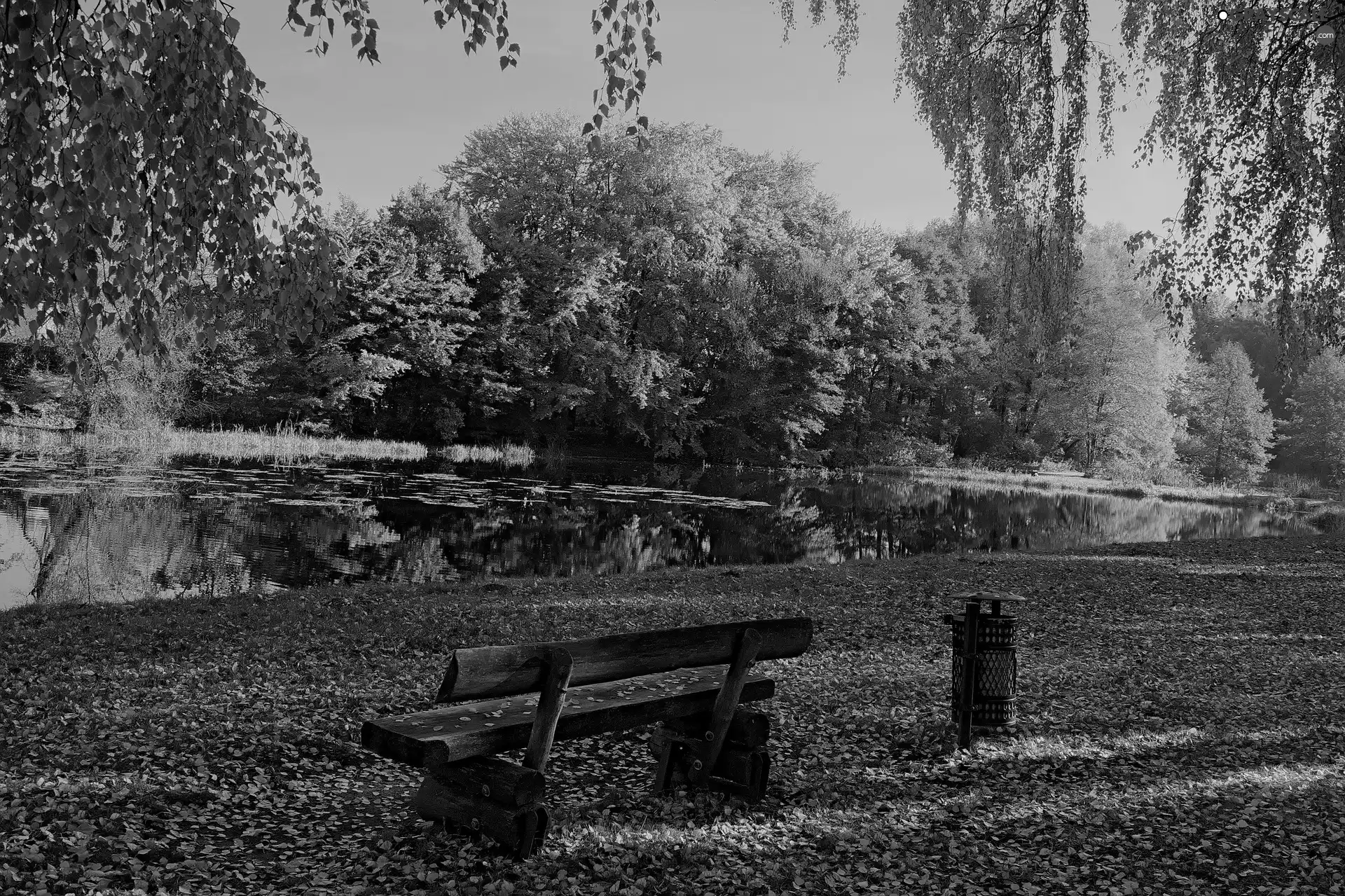 Park, trees, Leaf, viewes, fallen, Bench, Pond - car, autumn