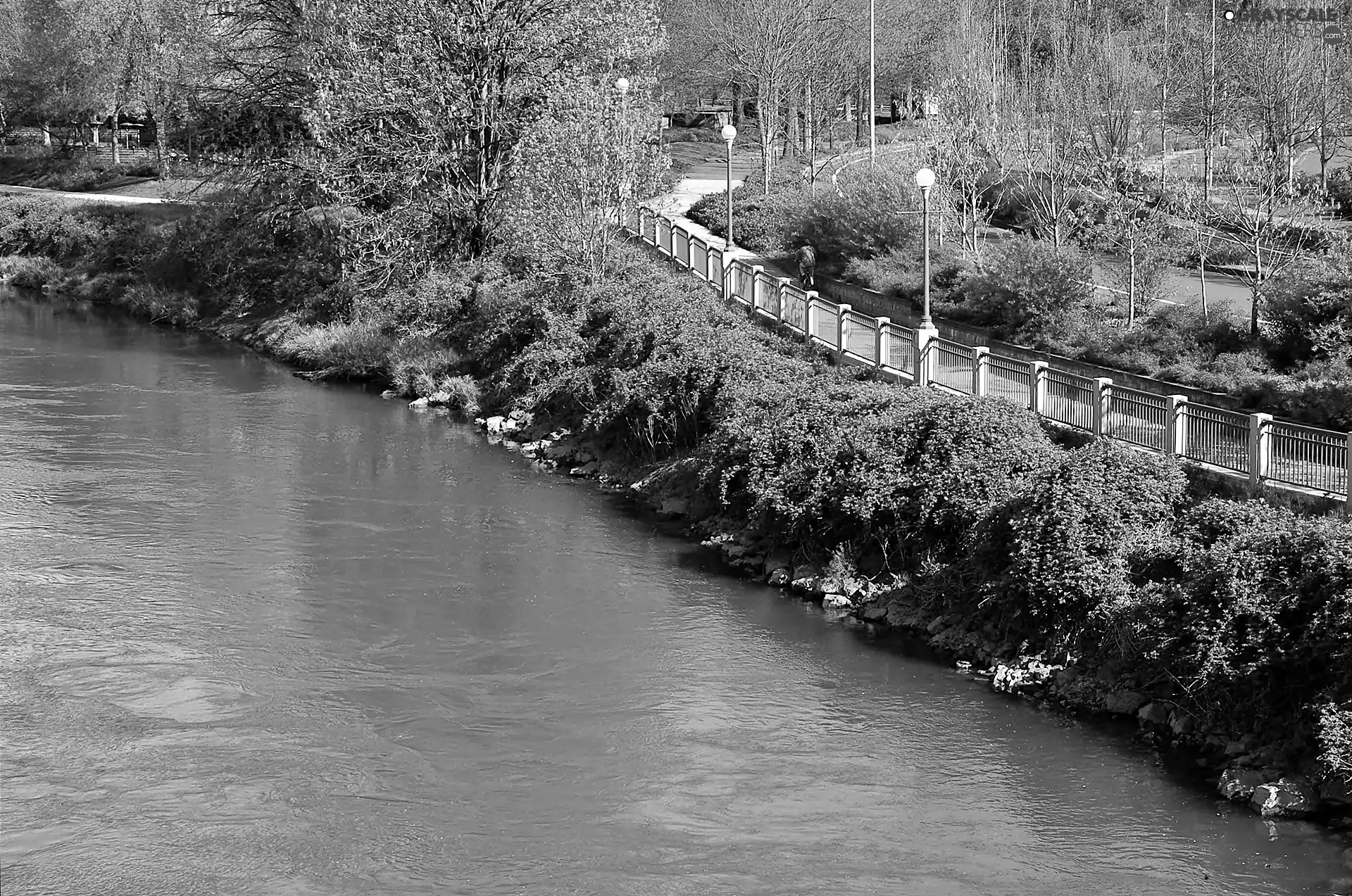 Park, summer, River