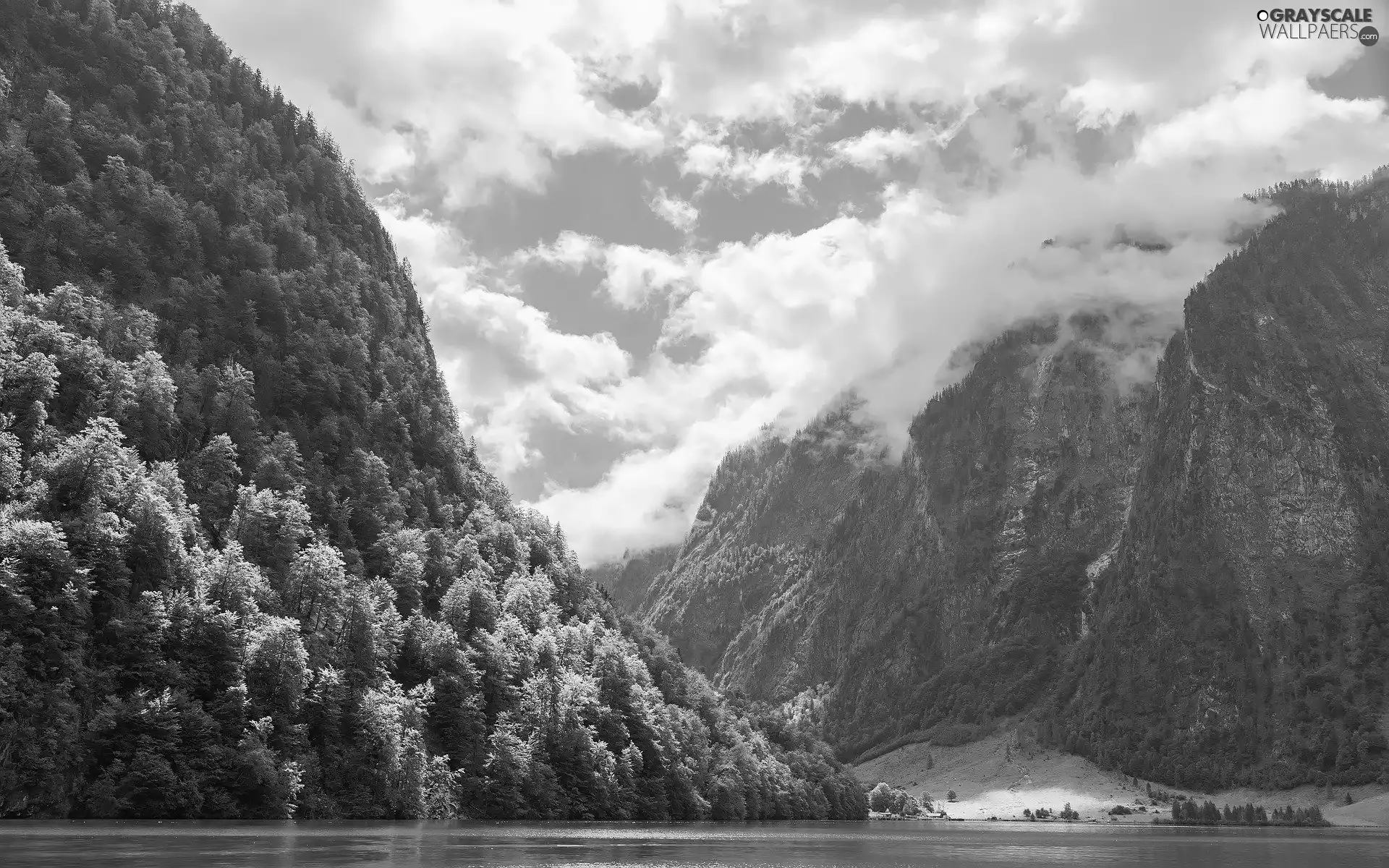 Berchtesgaden Alps, trees, Germany, viewes, Bavaria, Mountains, Berchtesgaden National Park, Lake Koenigssee