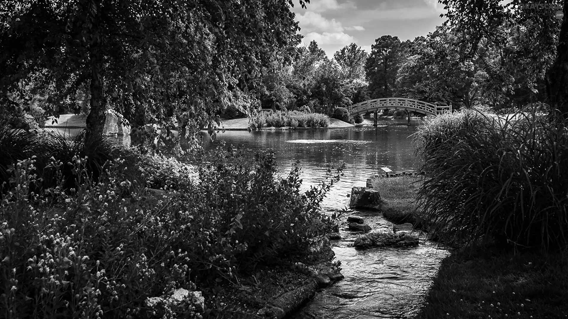 bridge, Garden, trees, Stones, Bush, ringtones, Flowers, Pond - car, Park, grass, viewes