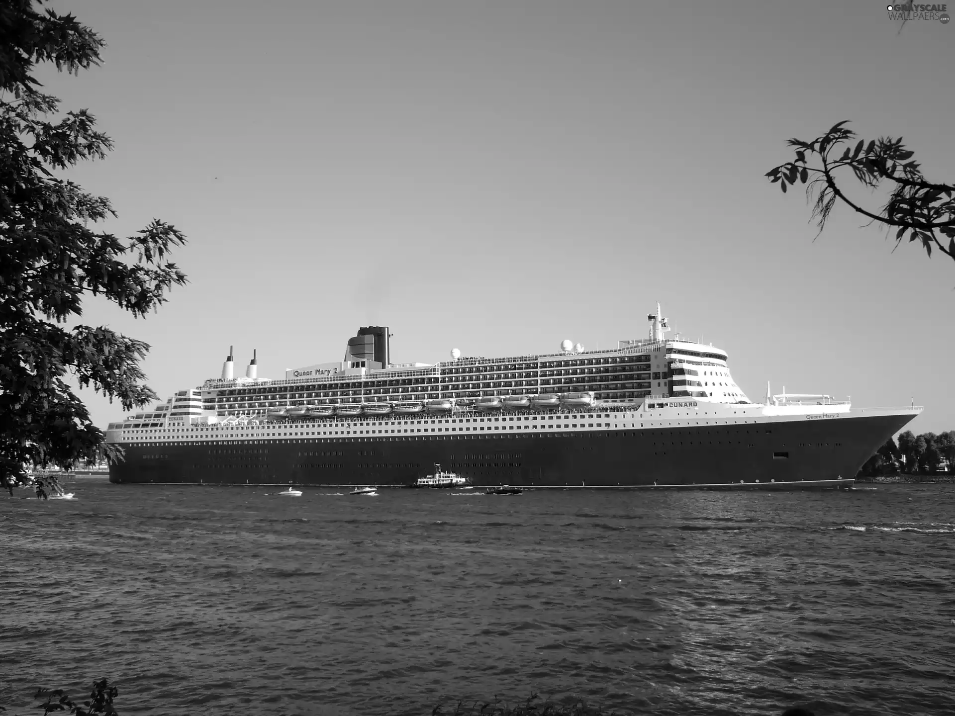 Queen Mary 2, Ship, passenger