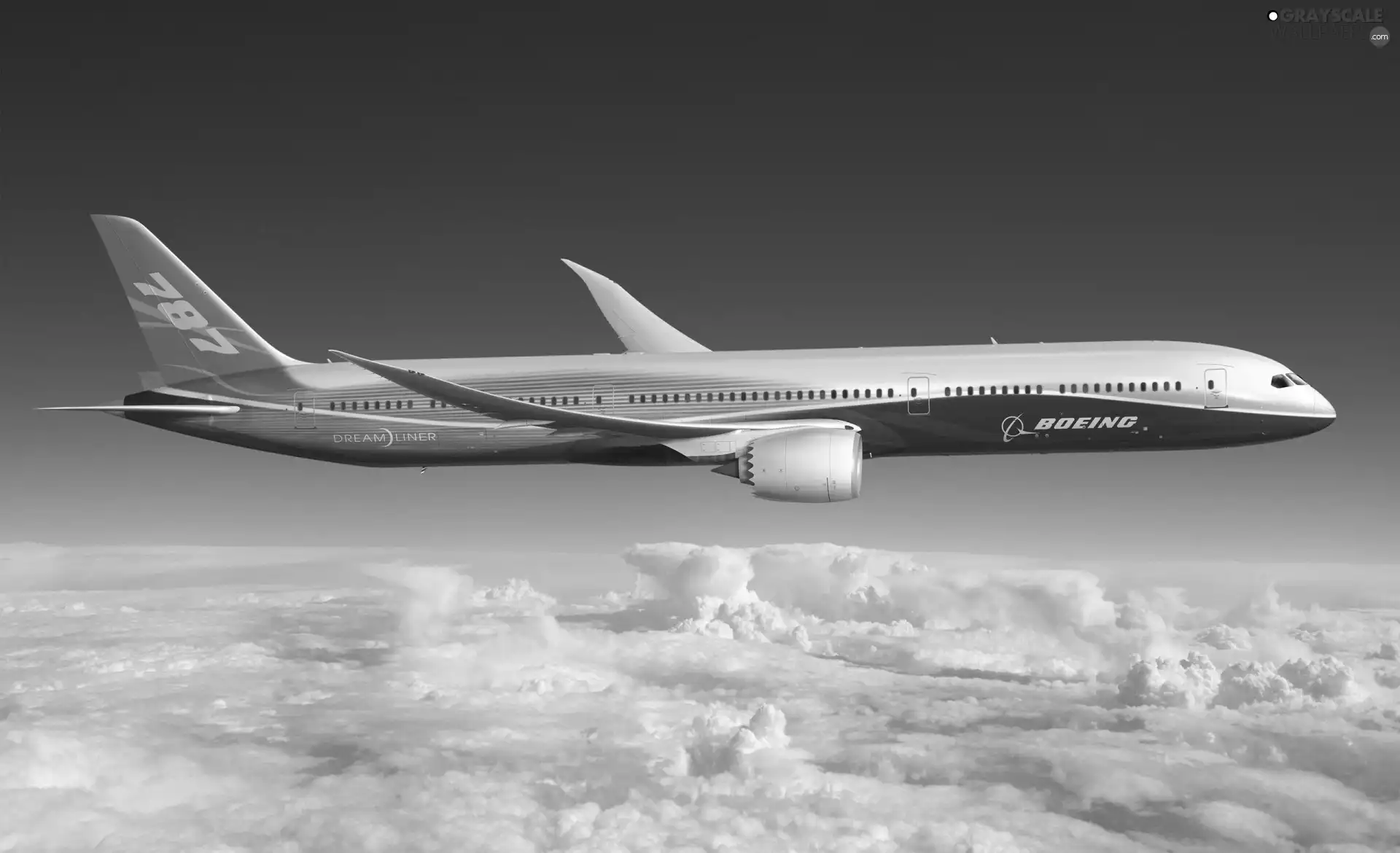 Boeing 787, plane, passenger