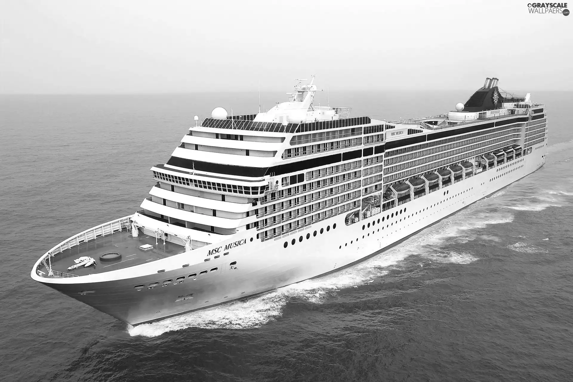 MSC Musica, Ship, passenger