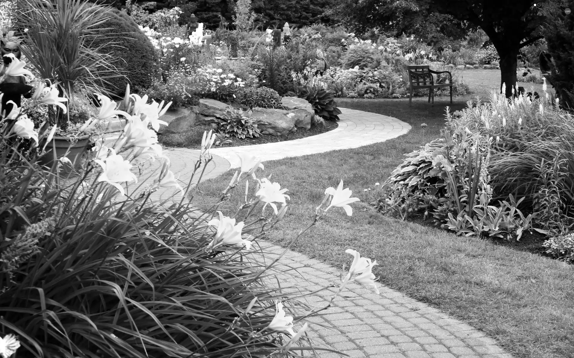 Path, Garden, Flowers