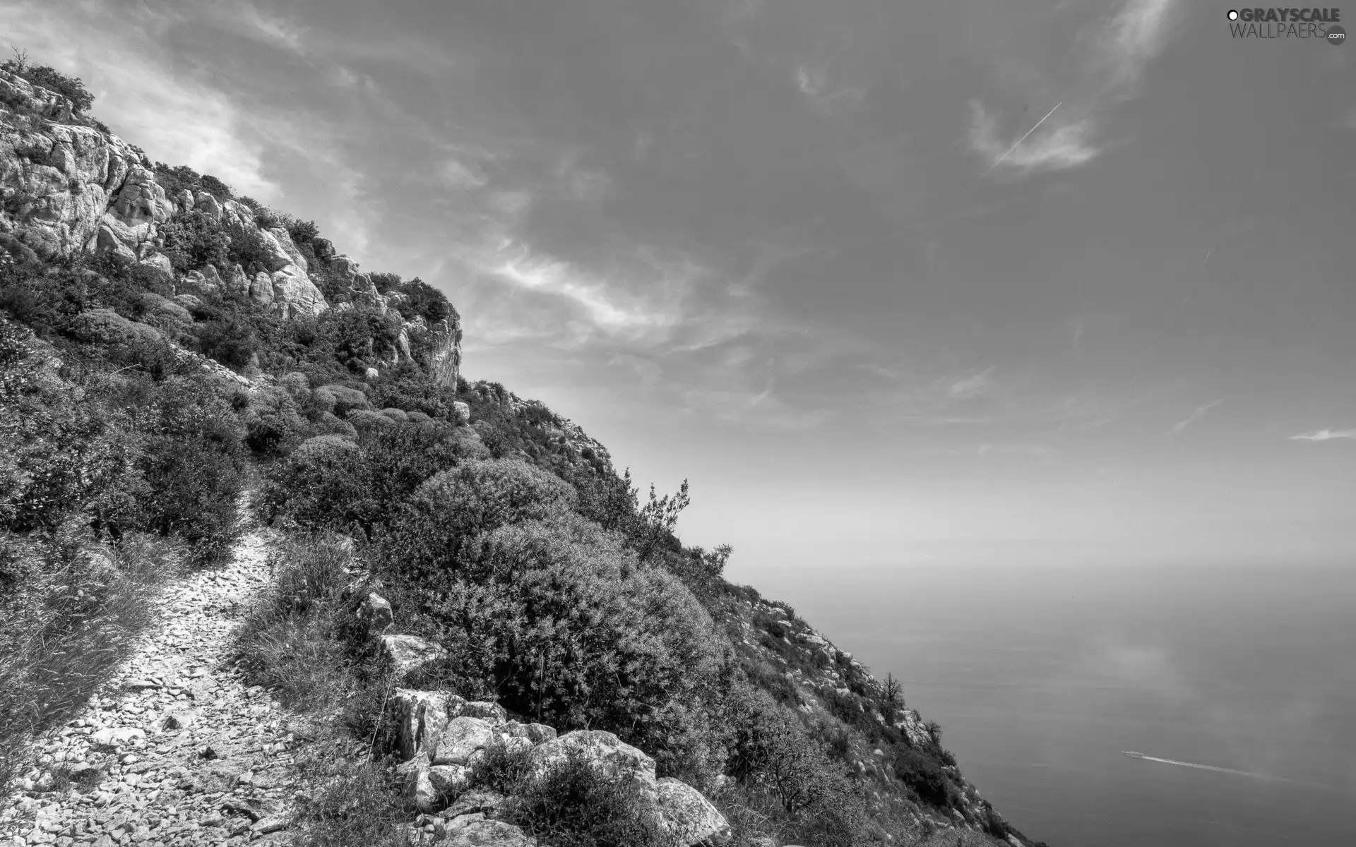 sea, Hill-side, Path