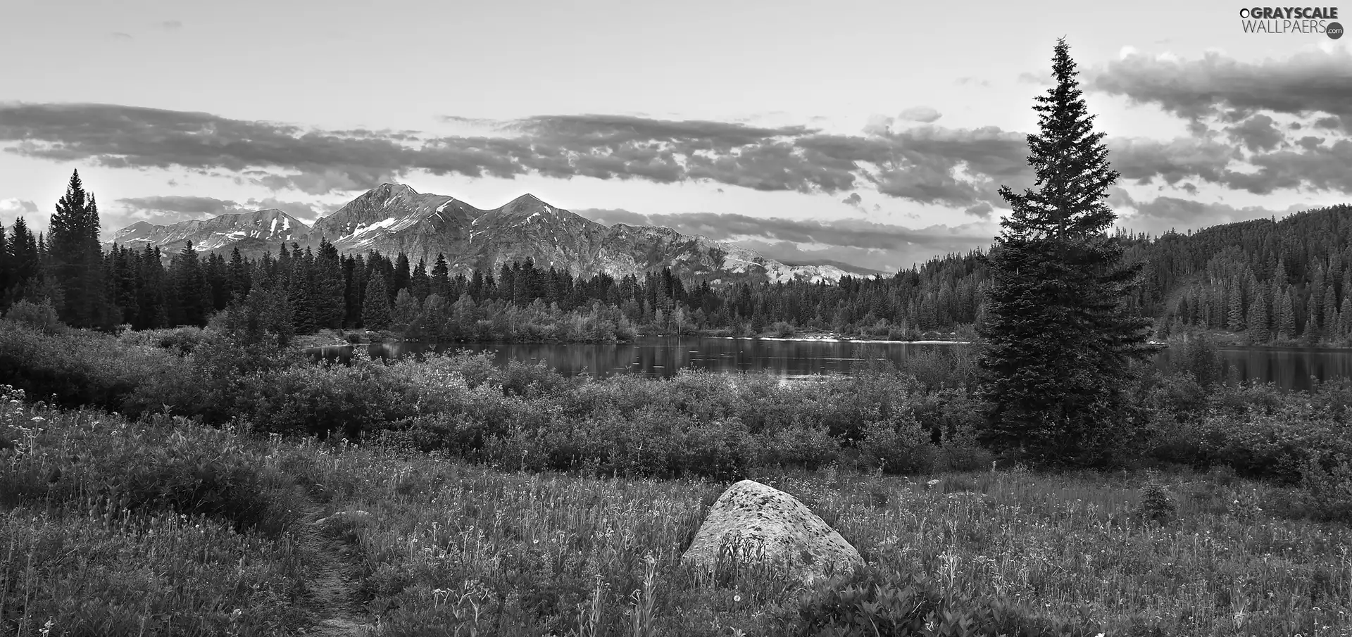 Path, Stone, lake, forest, Mountains