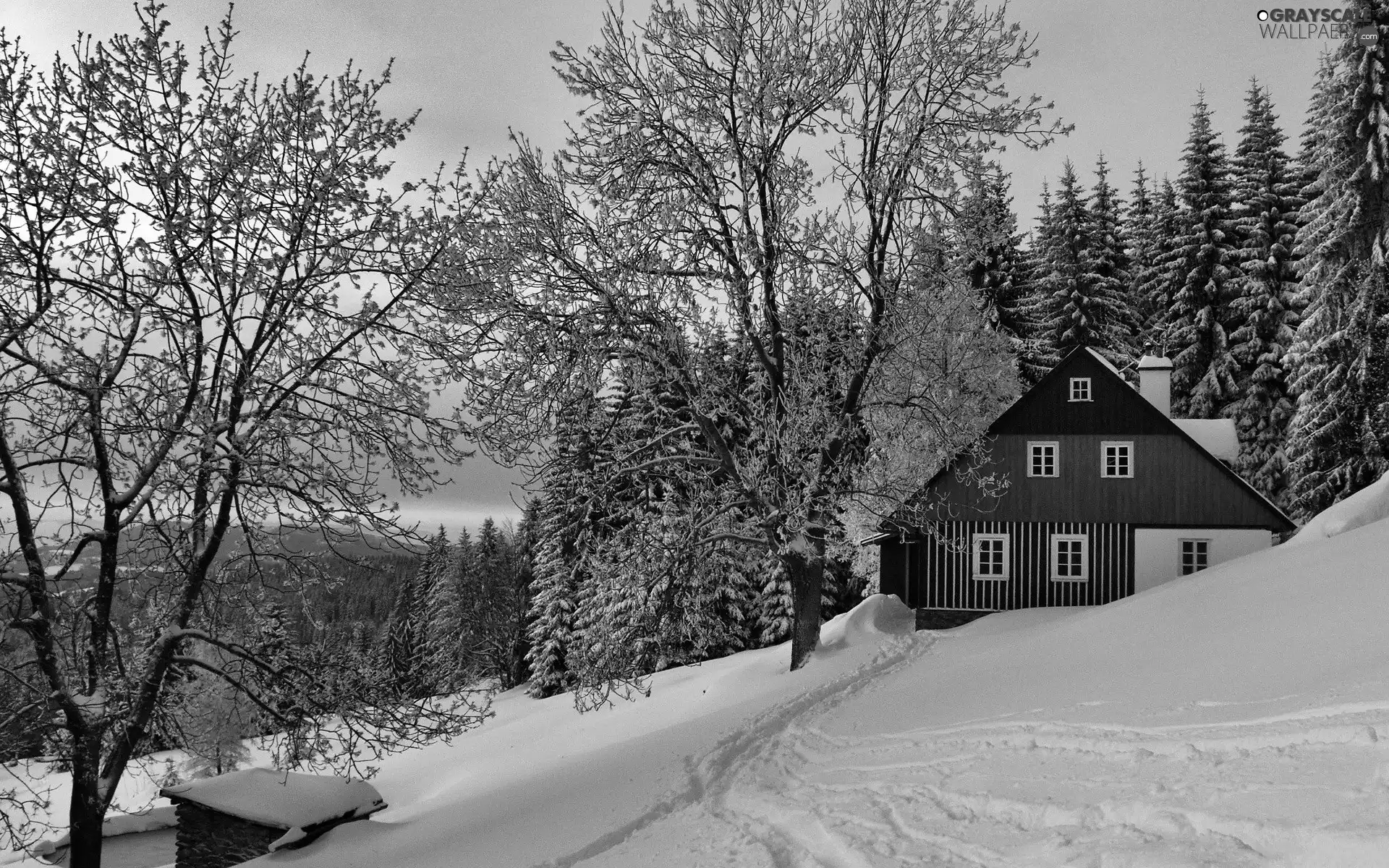 Path, winter, Mountains, woods, house