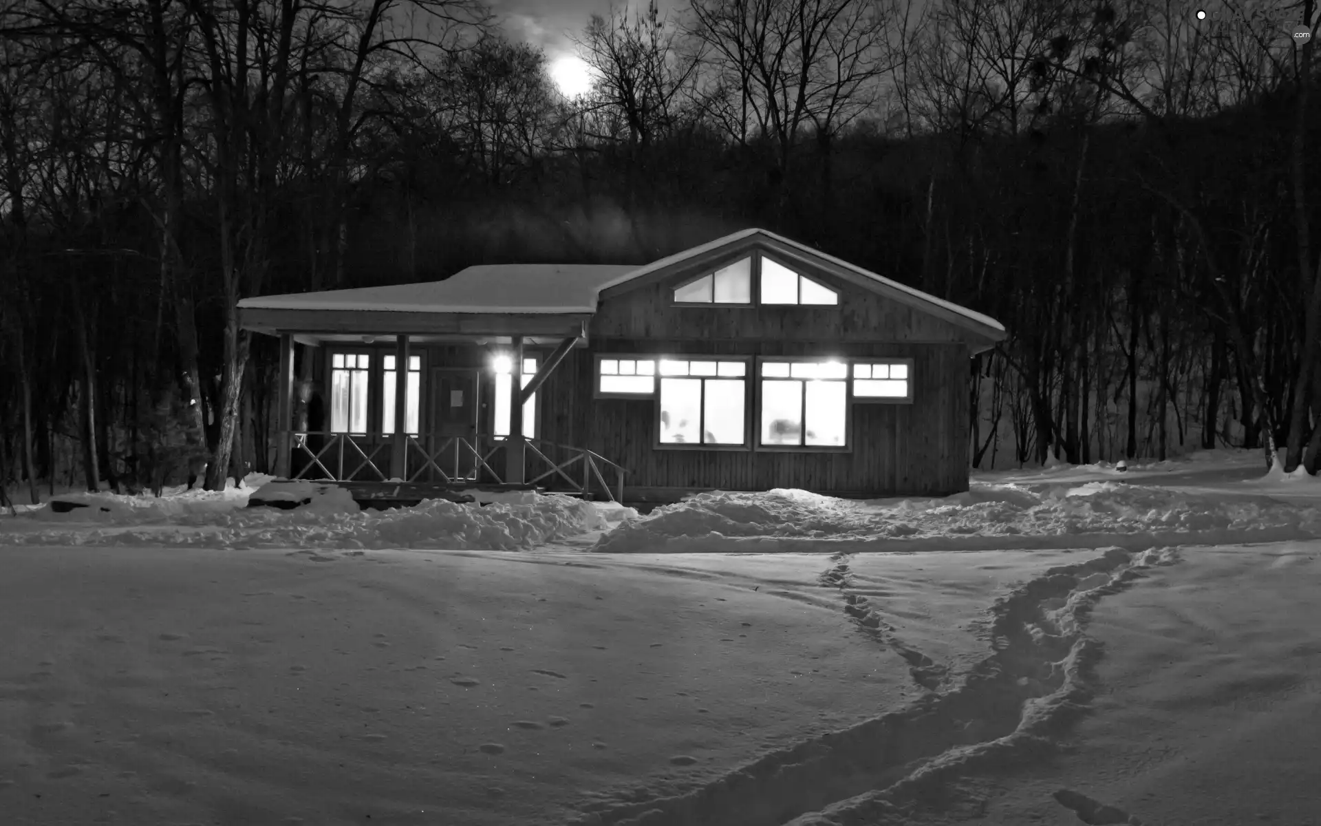 forest, Floodlit, Path, winter, moon, house