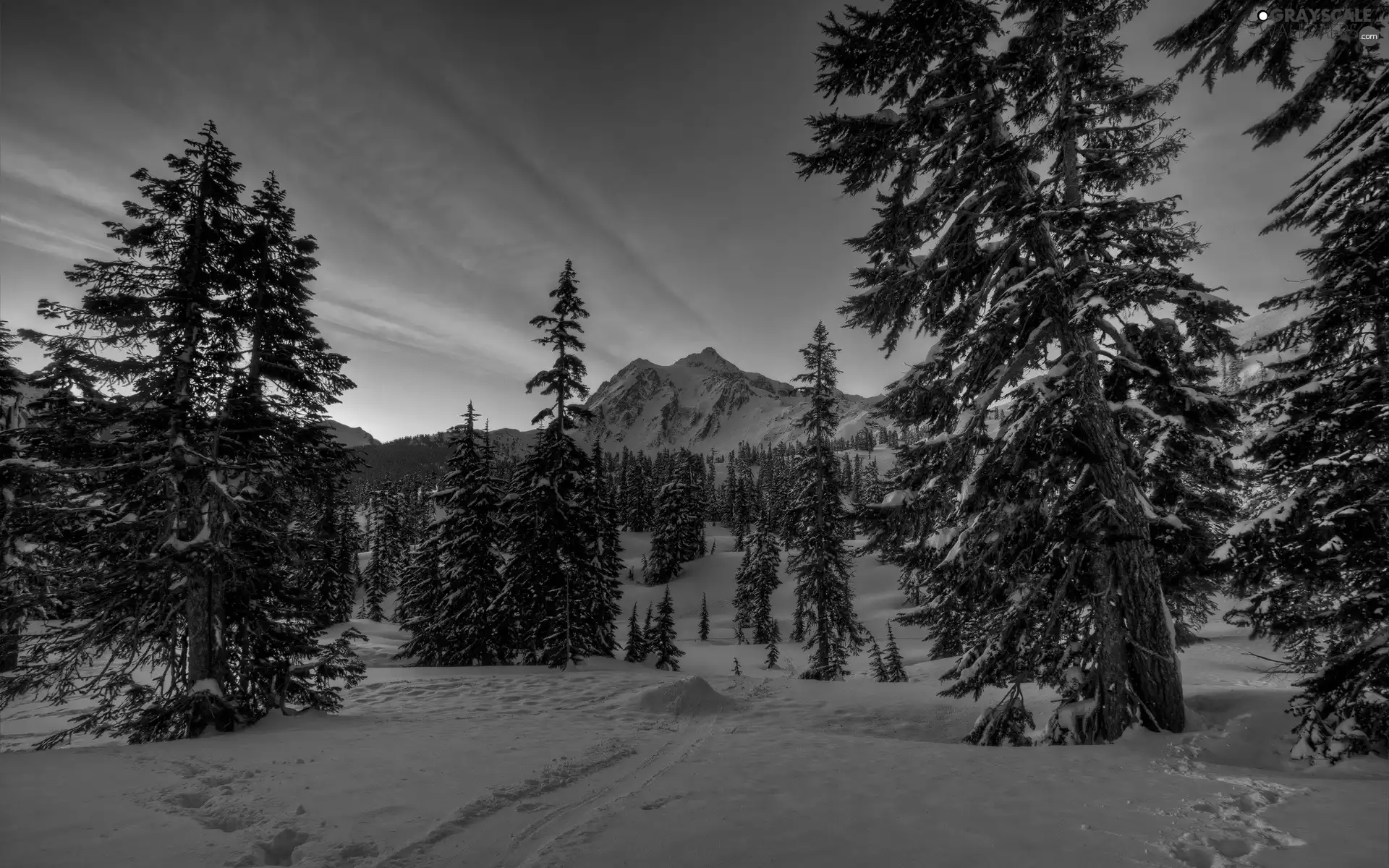 Path, winter, woods, clouds, Mountains