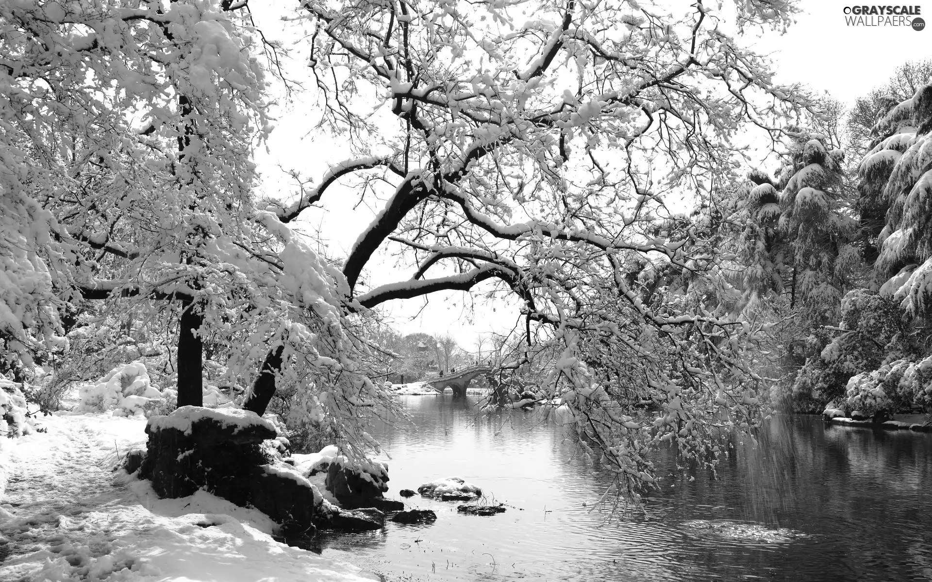 Path, winter, Park, bridge, River
