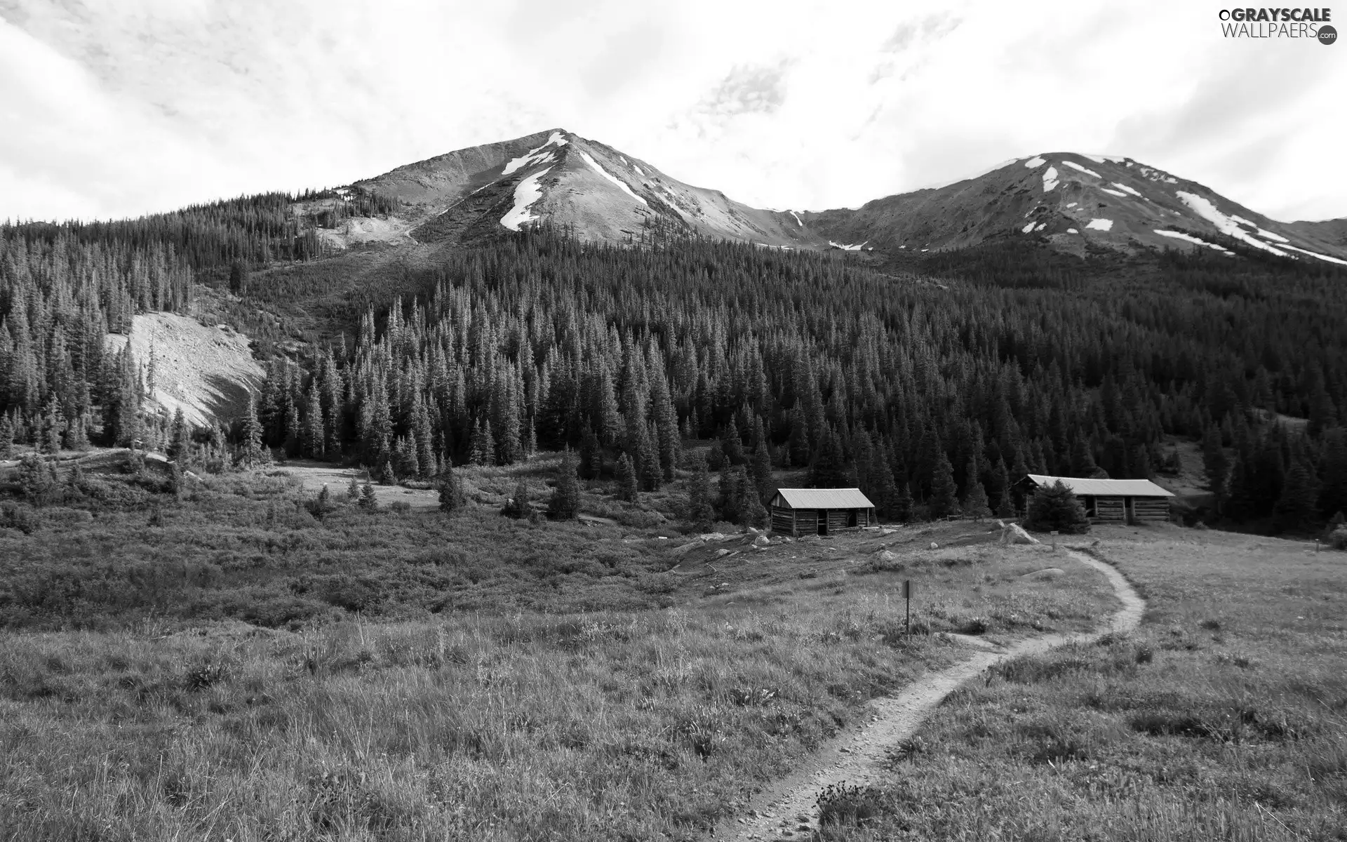 Path, Mountains, woods