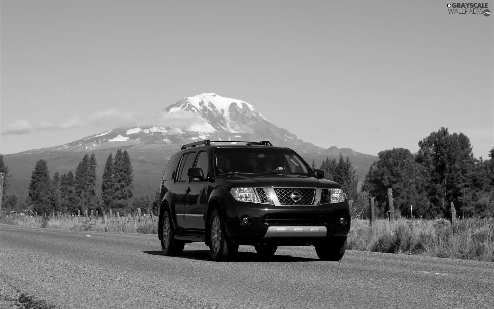 Automobile, Nissan Pathfinder