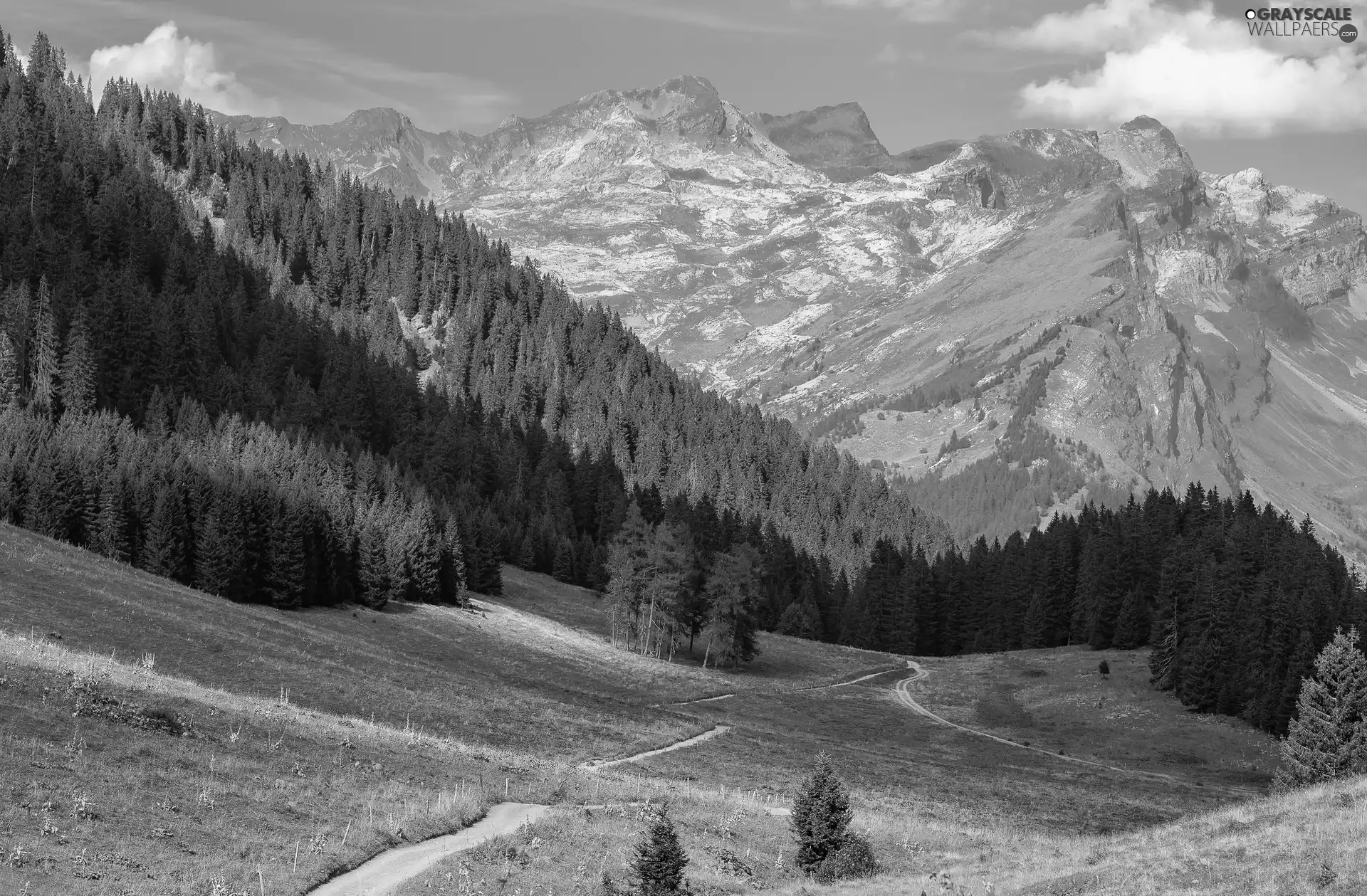 Meadow, Paths, woods, Valley, Mountains