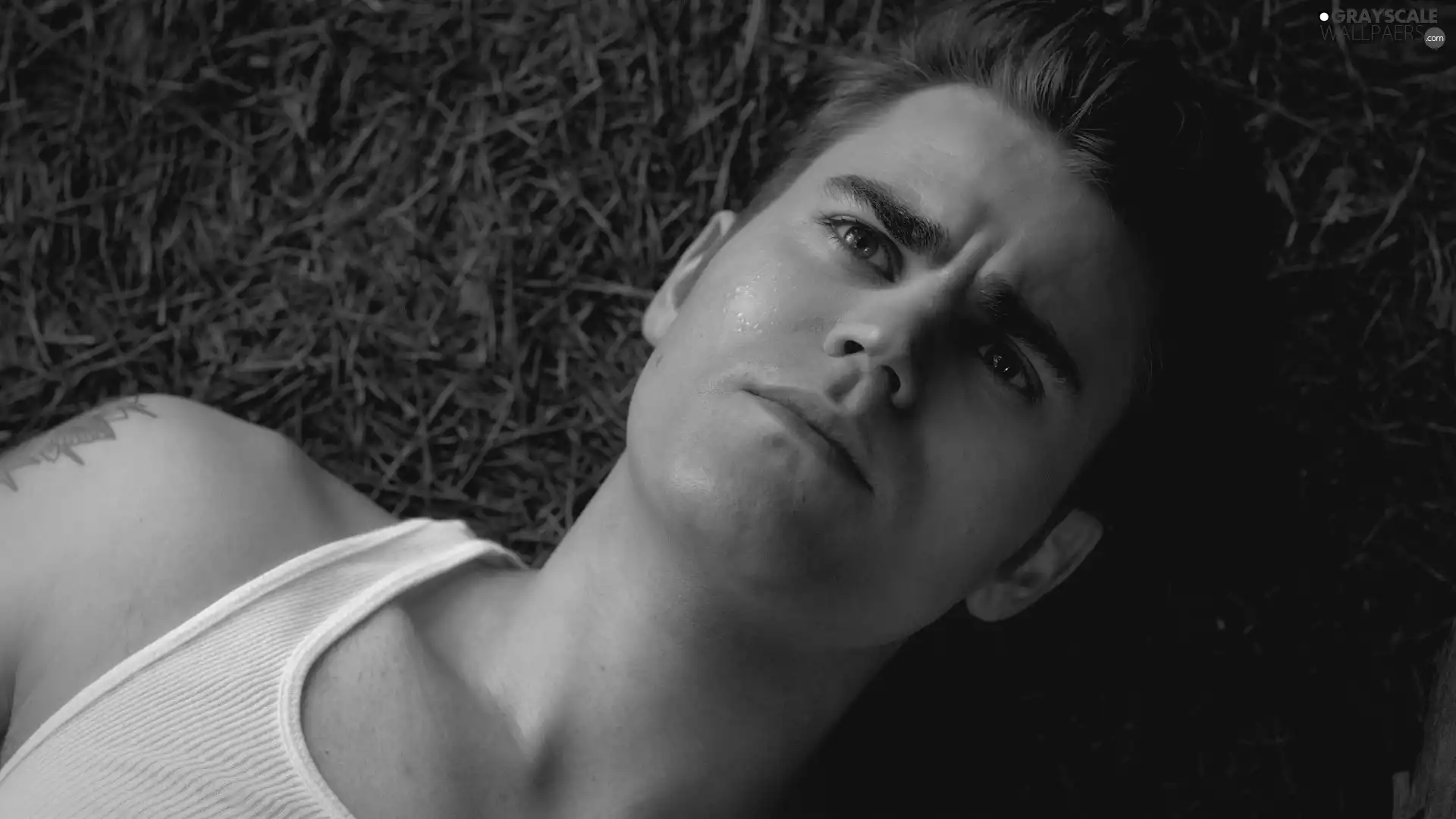 Paul Wesley, Shirt