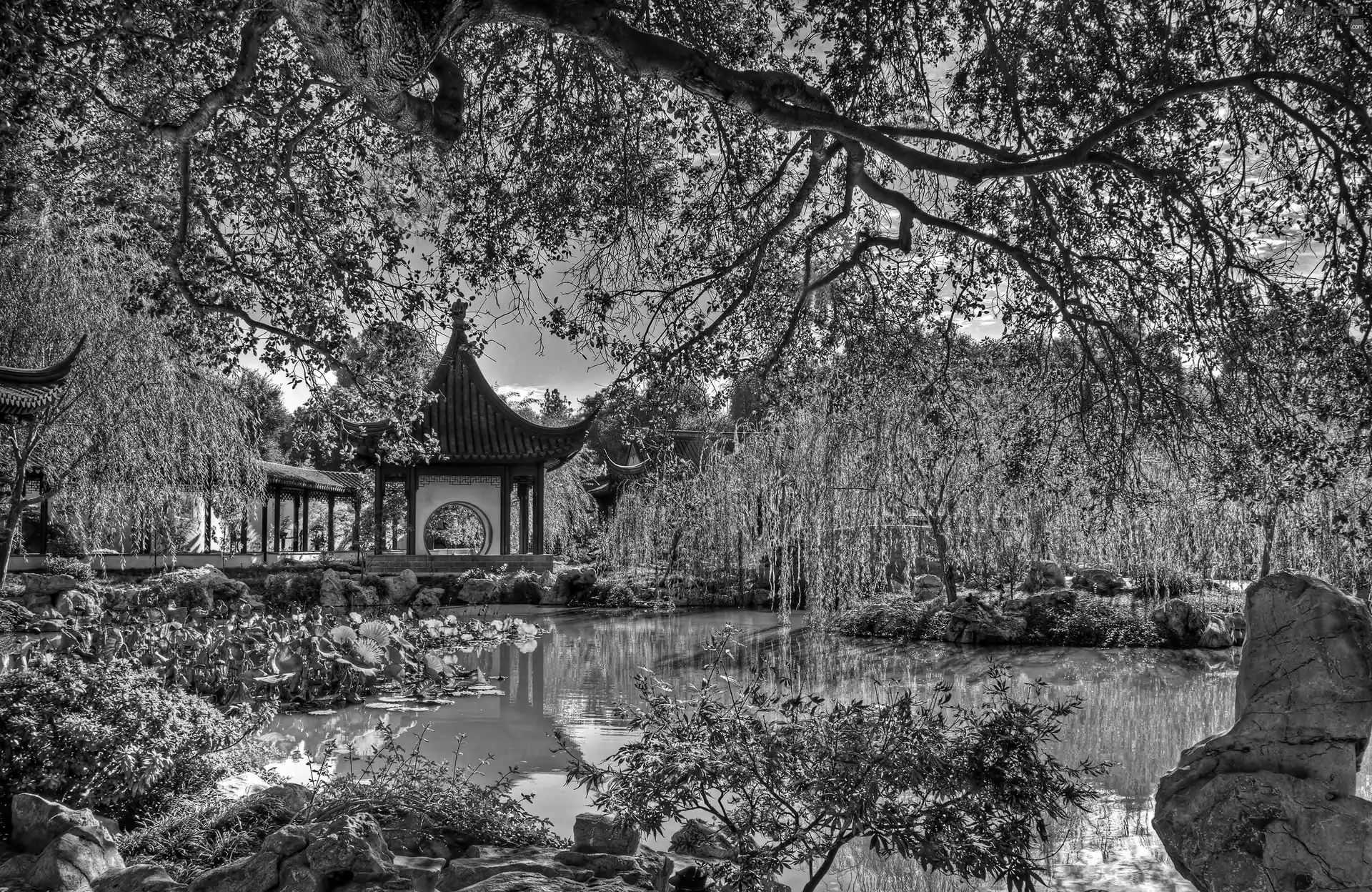 Chinese, boulders, San Marino, pavilion, Pond - car, Garden, California