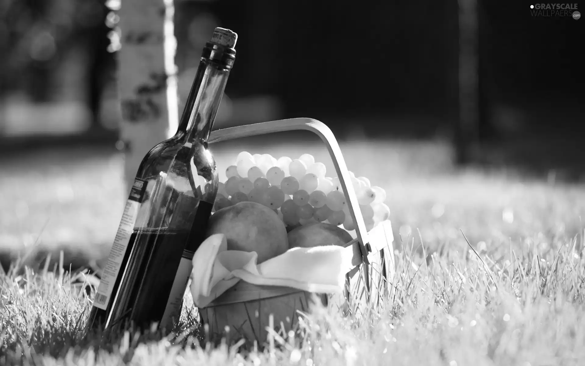 peaches, picnic, Wine, Grapes, basket