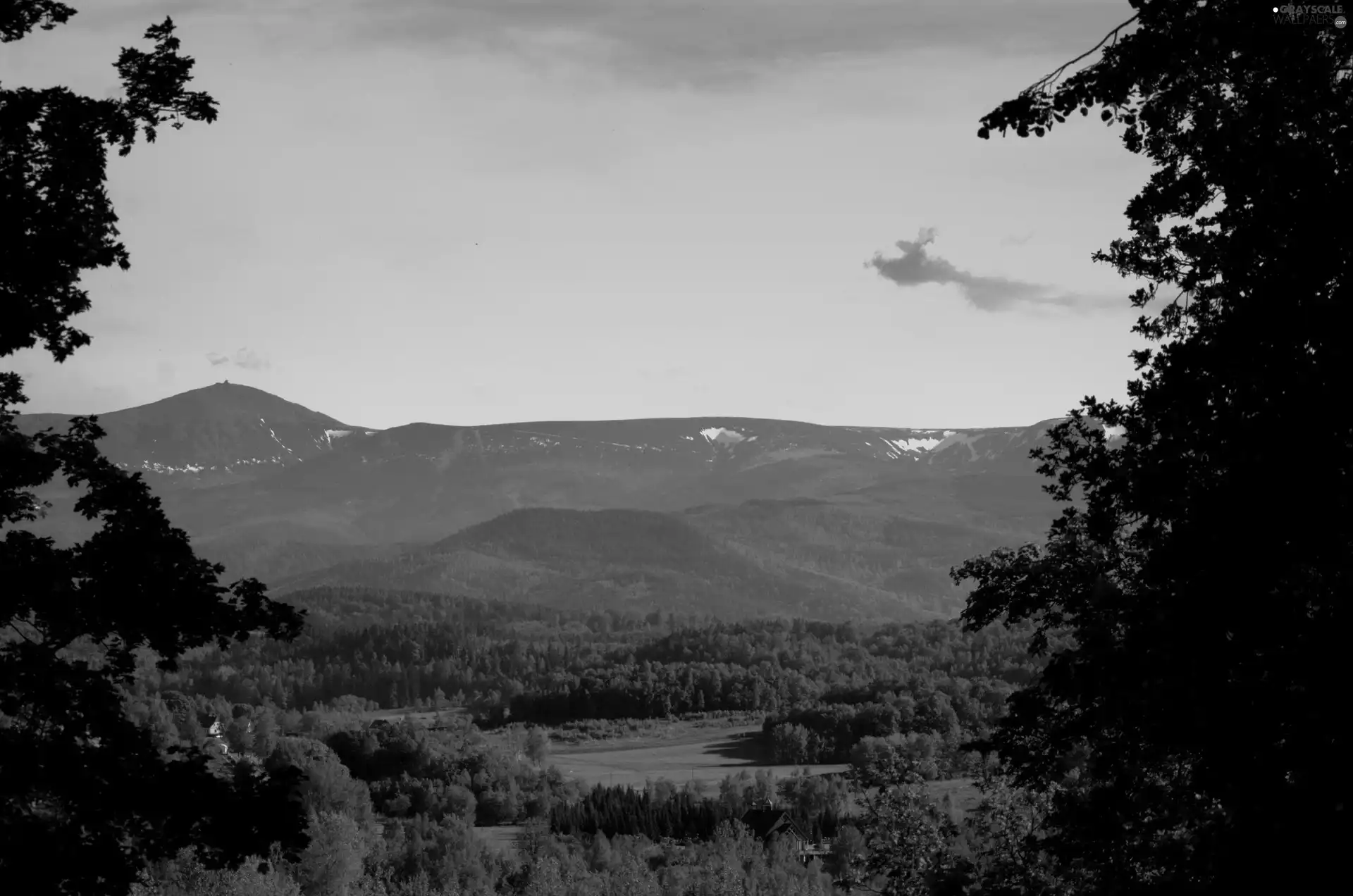 Mountains, viewes, peaks, trees