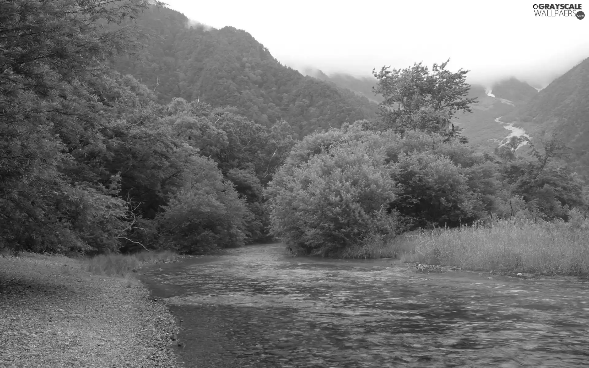 Bush, trees, Mountains, viewes, green ones, peaks, River