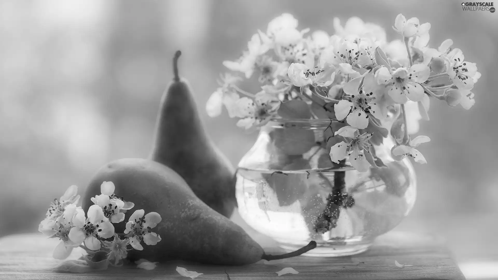 truck concrete mixer, Flowers, Pear