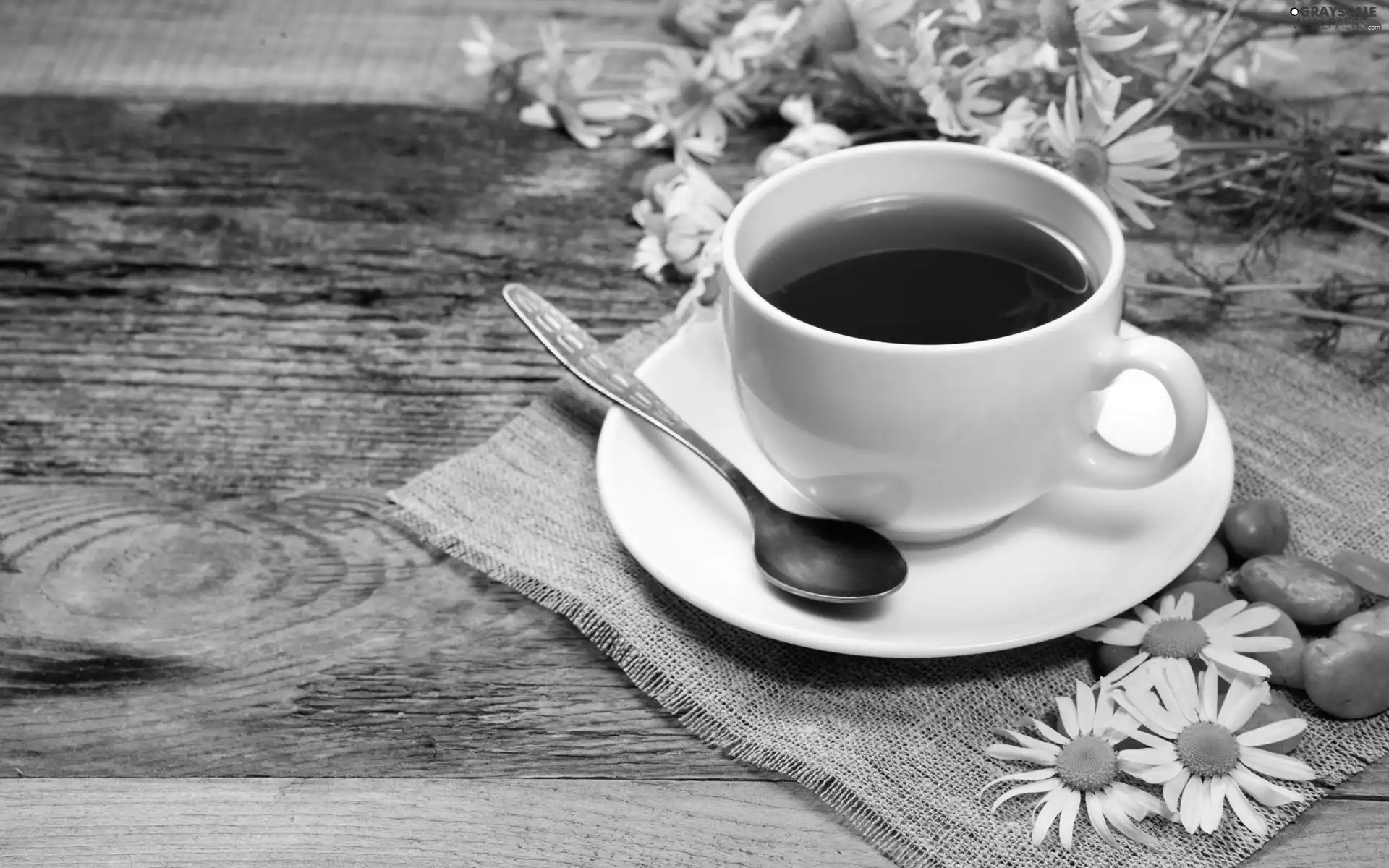 Pebble, Bench, tea, chamomile, cup