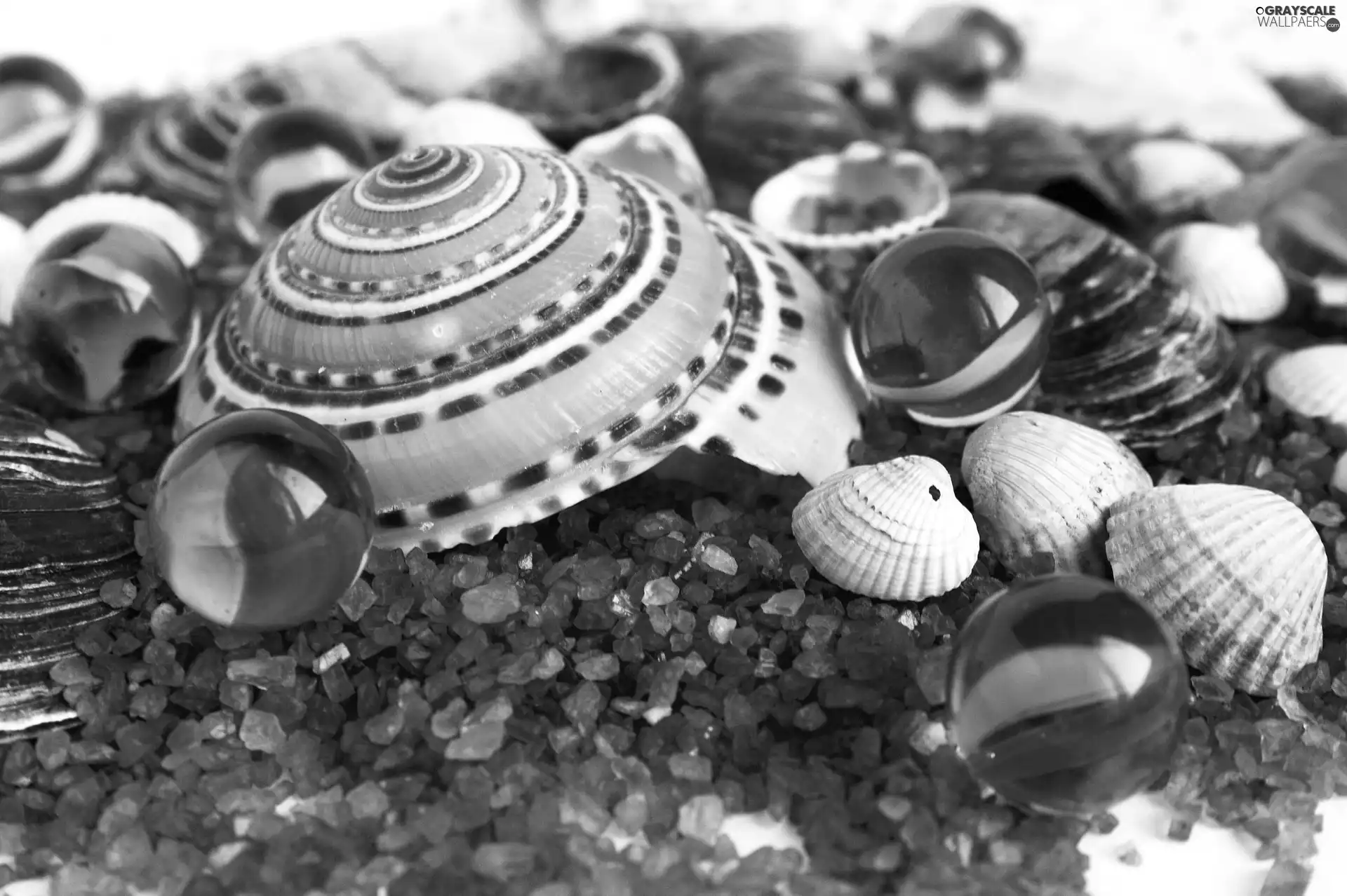 Shells, Red, pebbles, M&Ms balls