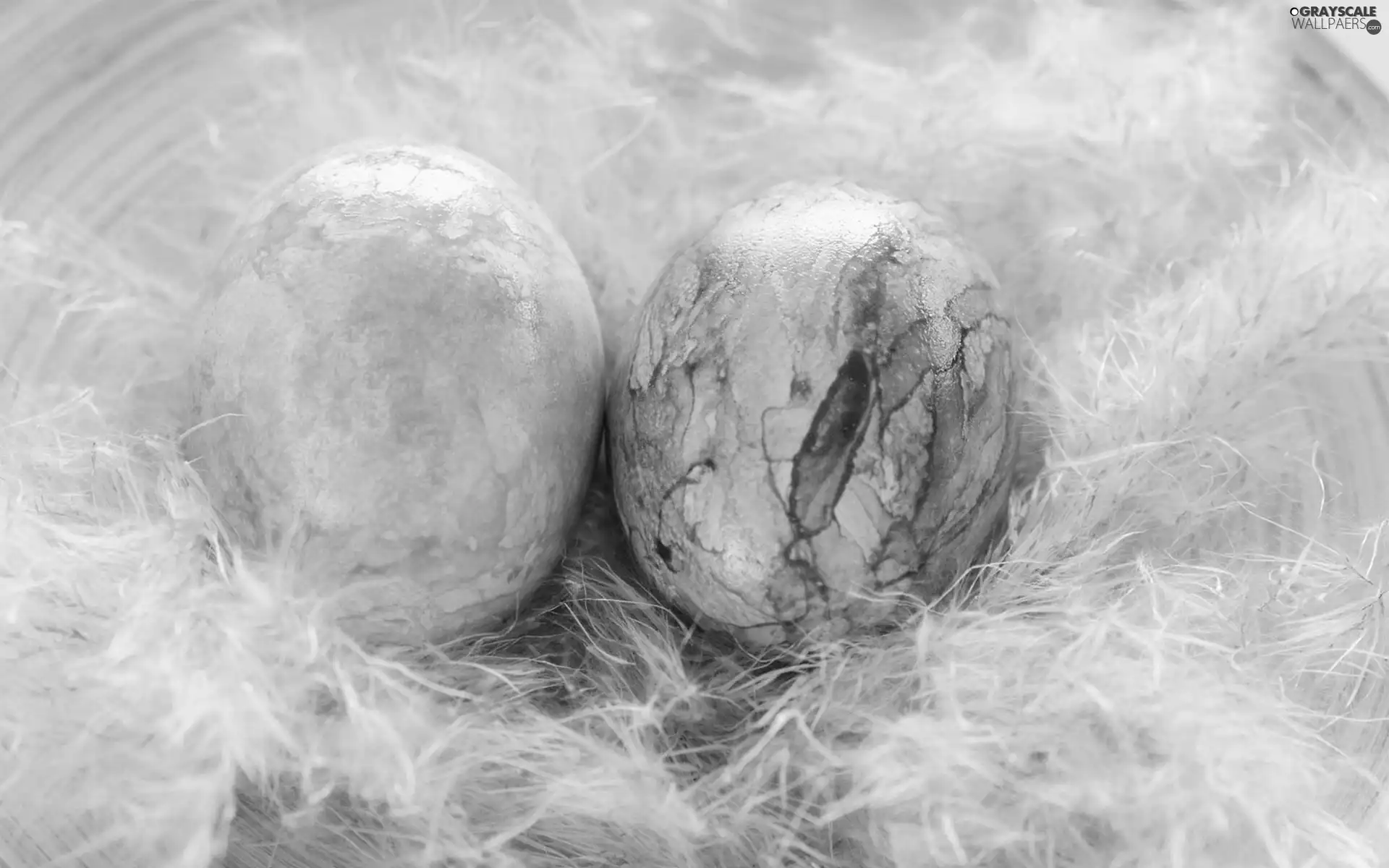 pen, Easter, eggs, White, Two
