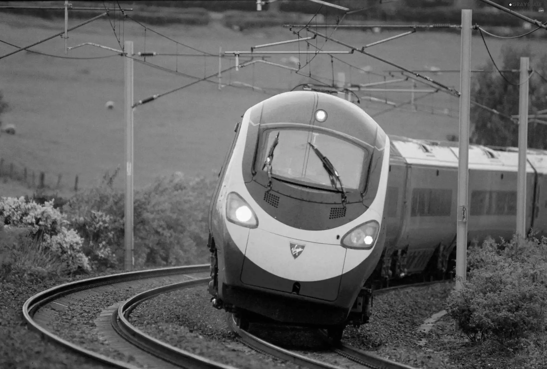 Train, Pendolino
