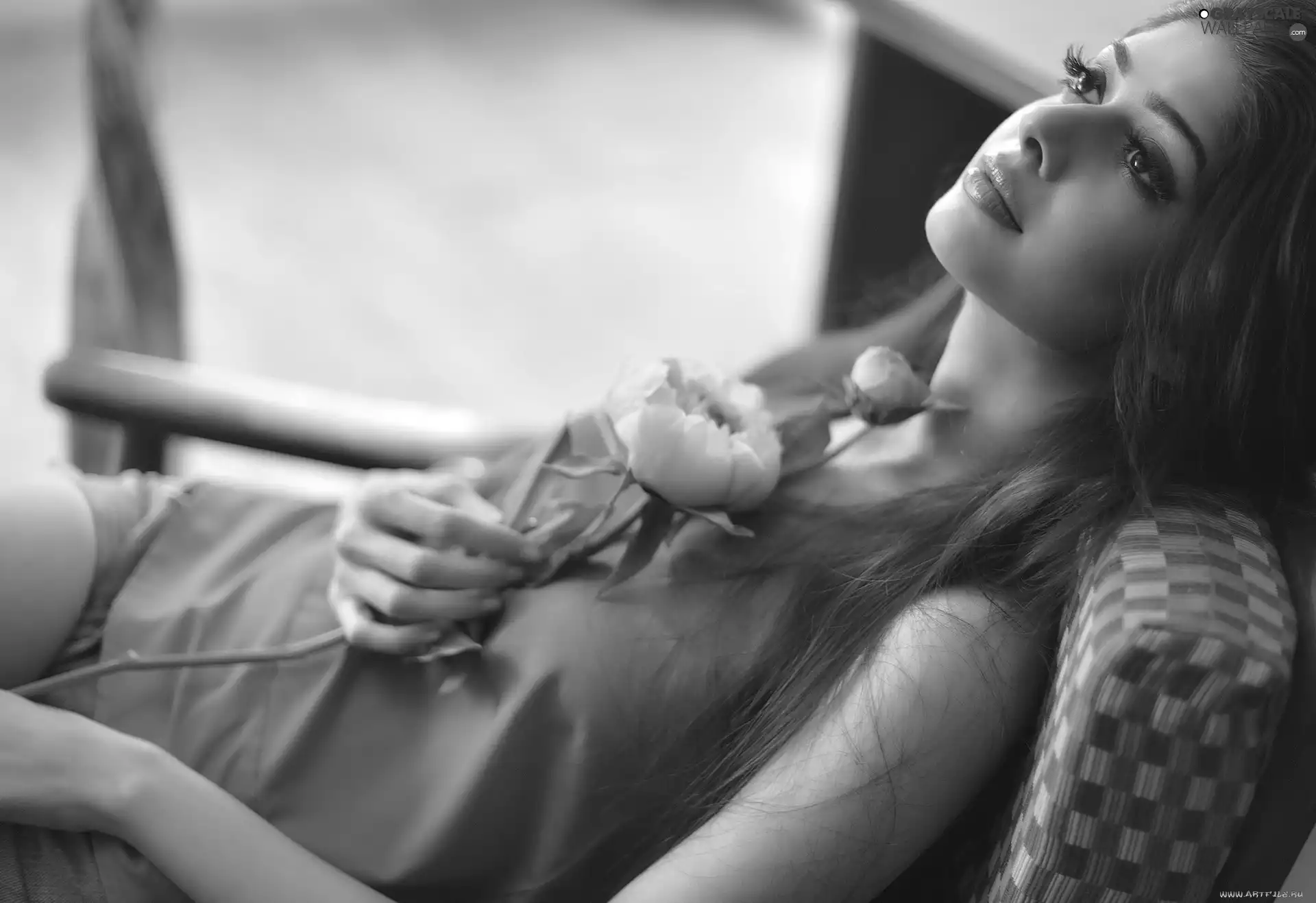 peony, girl, dreamer