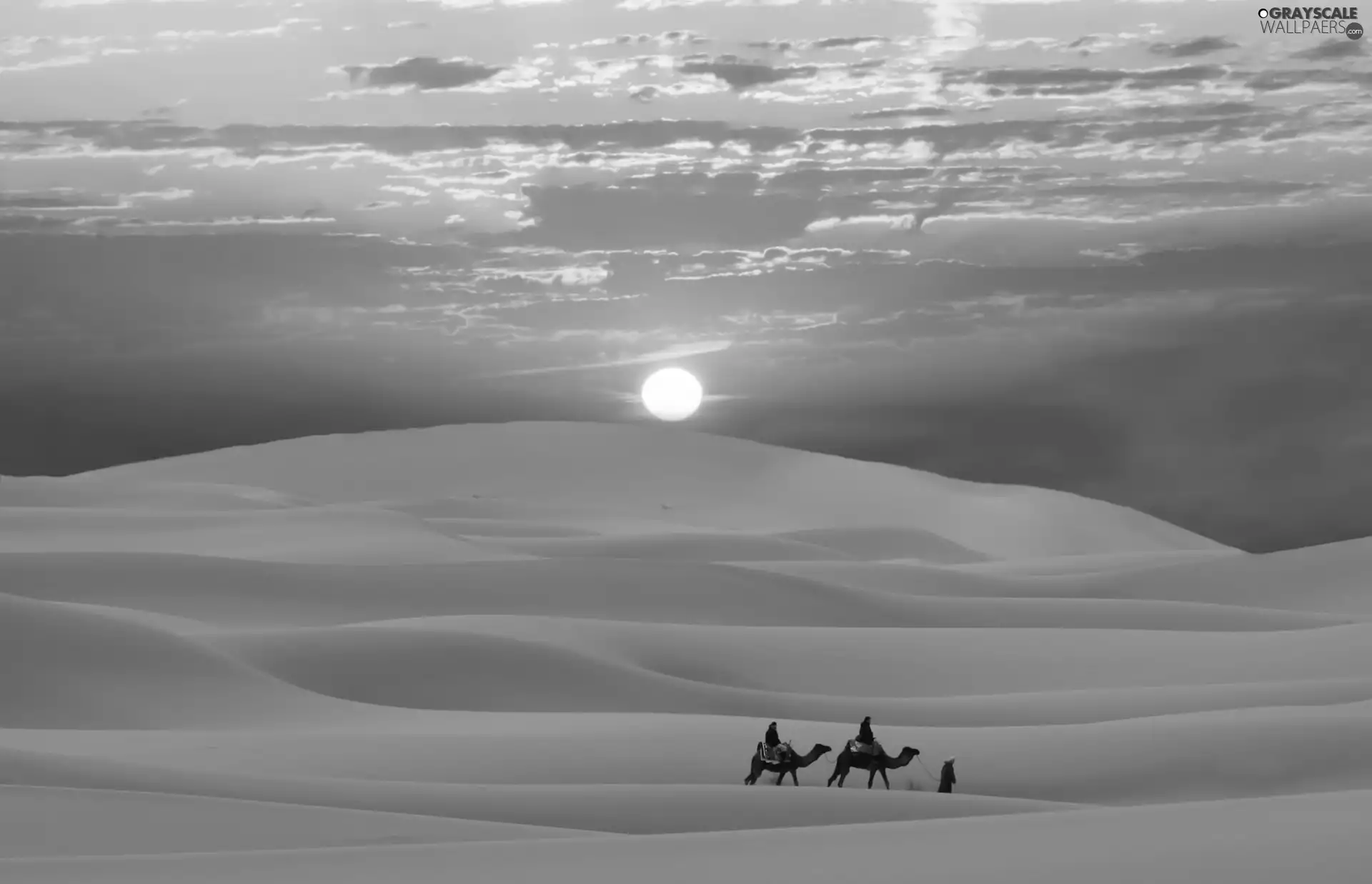 west, Desert, People, sun