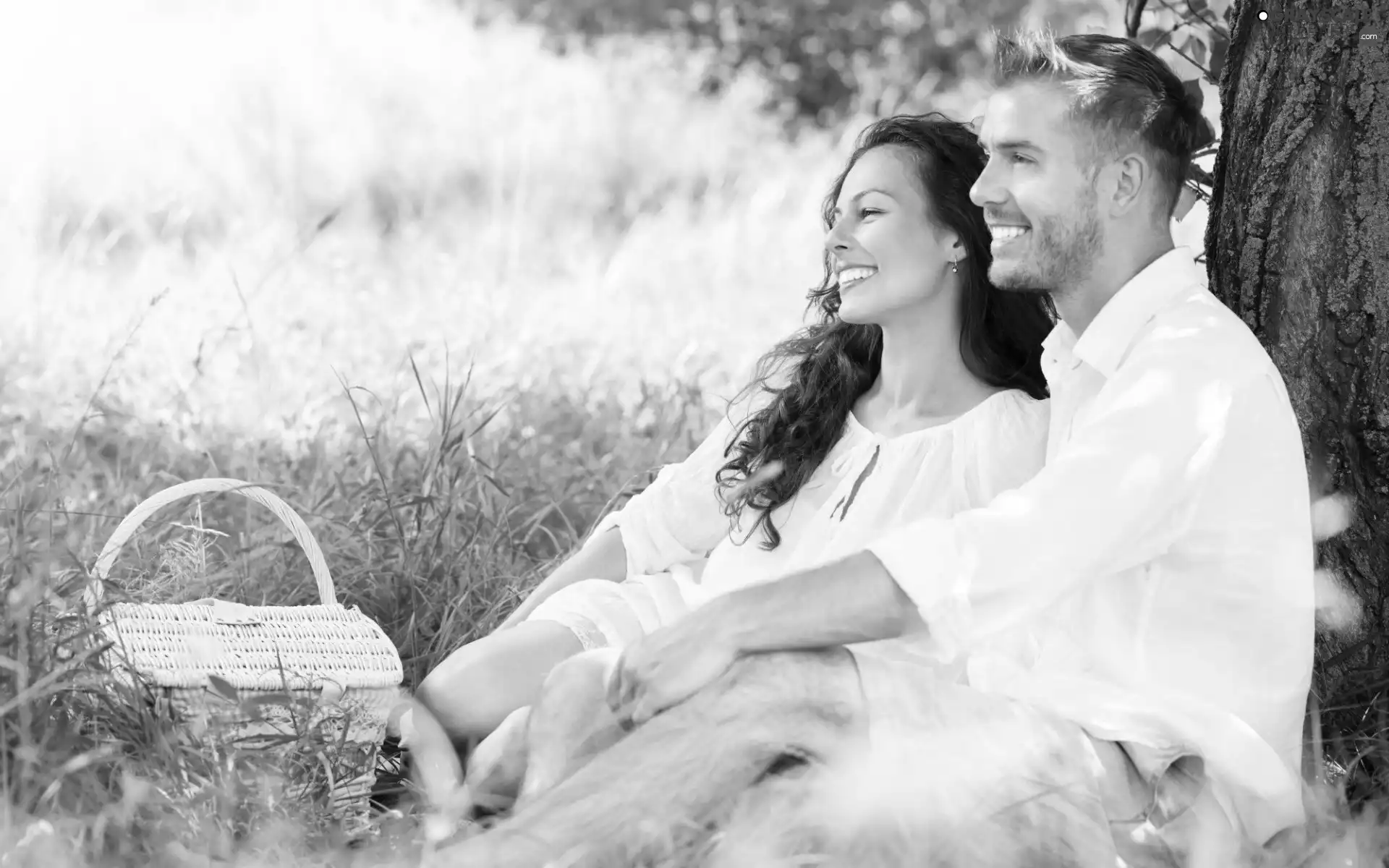 sun, a man, trees, luminosity, picnic, Women, Meadow, Spring, flash, ligh